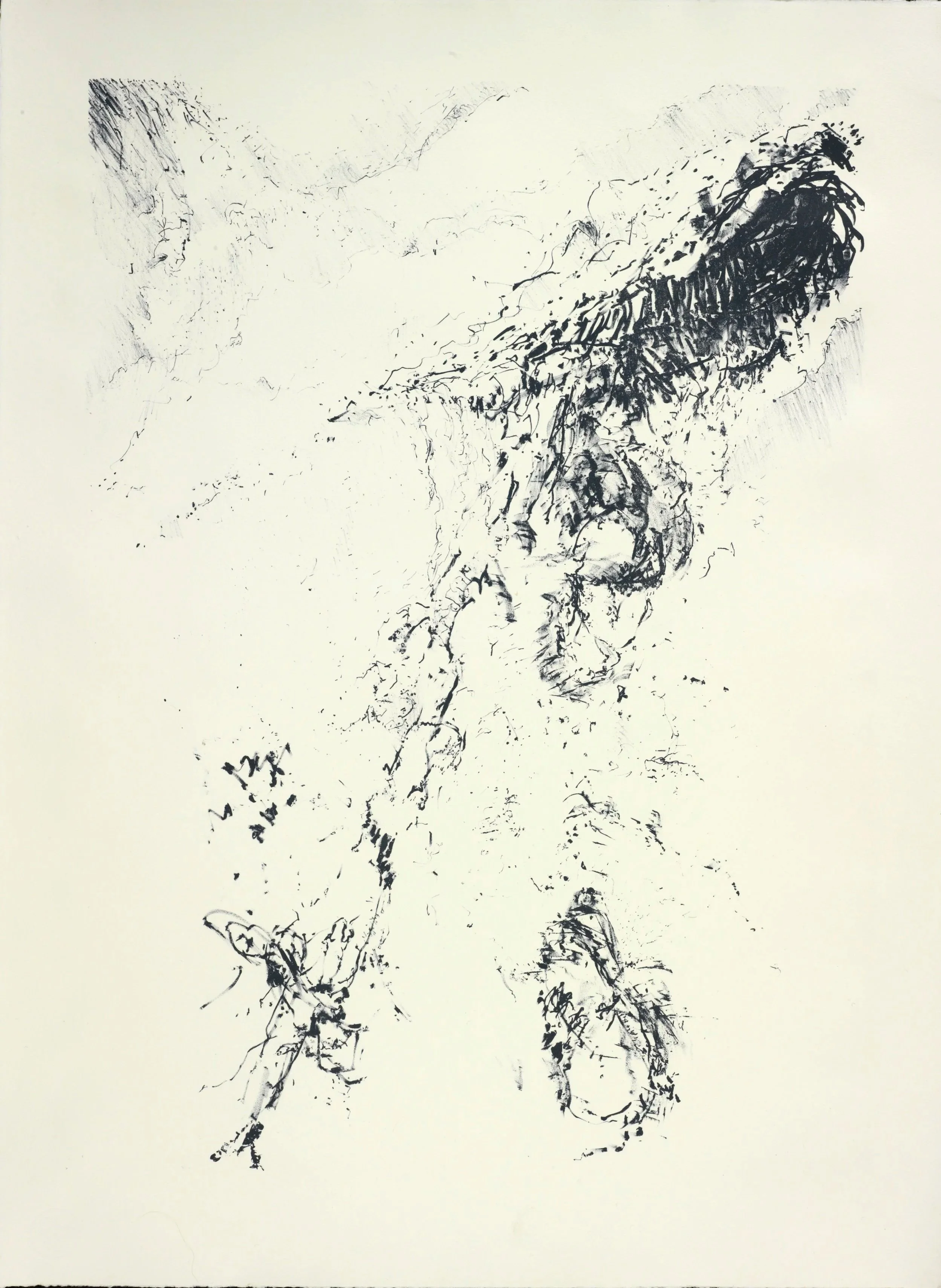 Stones Slip, Rocks Drop
Lithograph
21" x 31" H, 2009