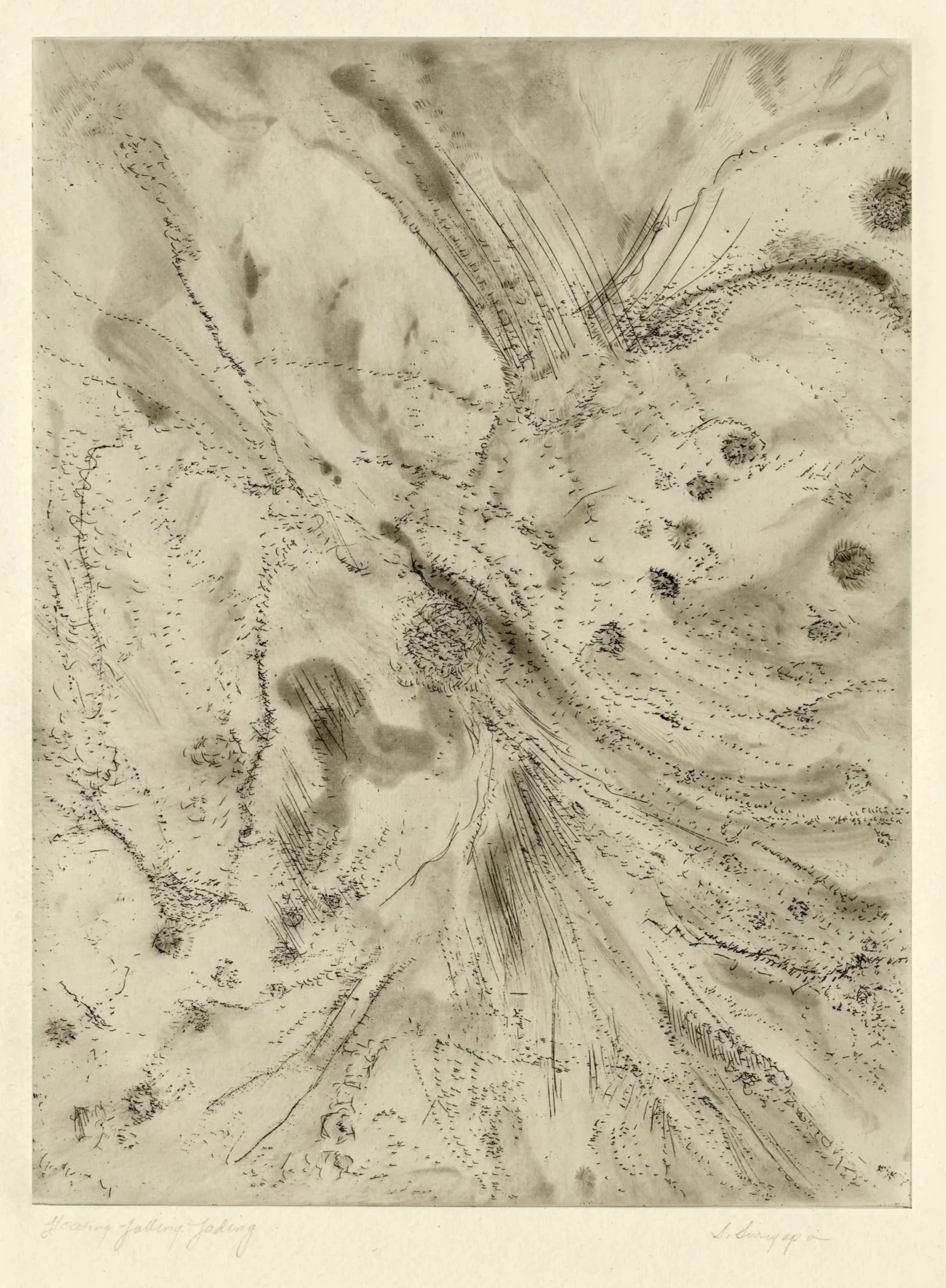 Floating, Falling, Fading IV
Soft-ground and spit bite etching, 15" x 22.25" H, 2024