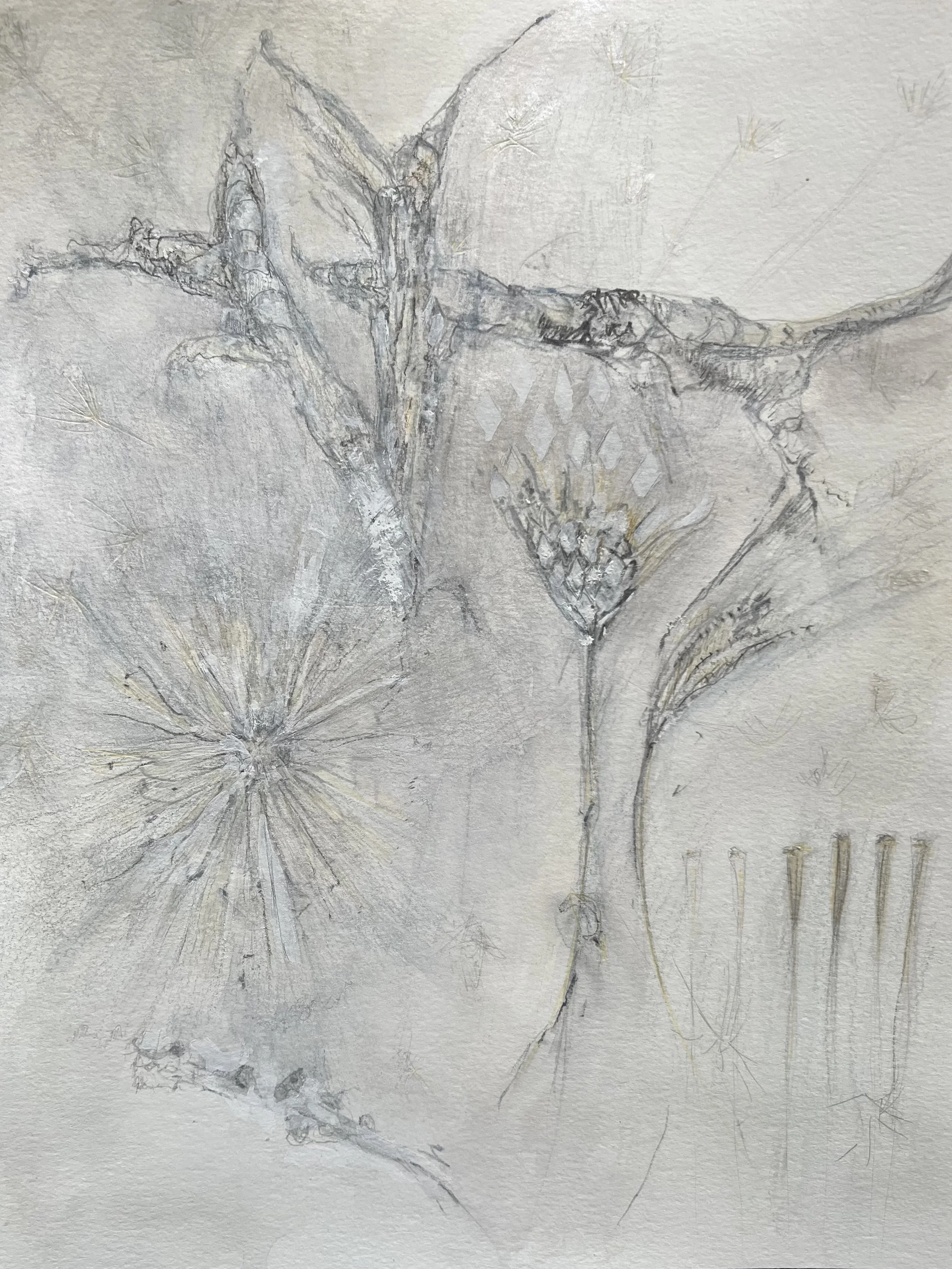 Mountain moonlight
Graphite, Watercolour
9" X 12" H, 2023