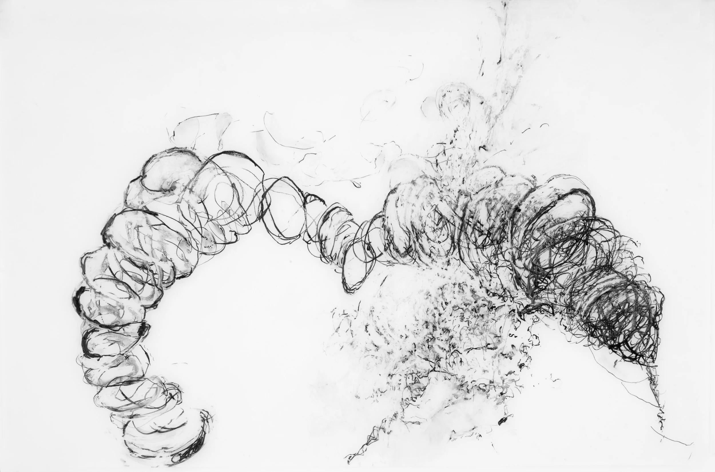 Dissolution
Water soluble crayon, synthetic paper, 38" x 25" H, 2008