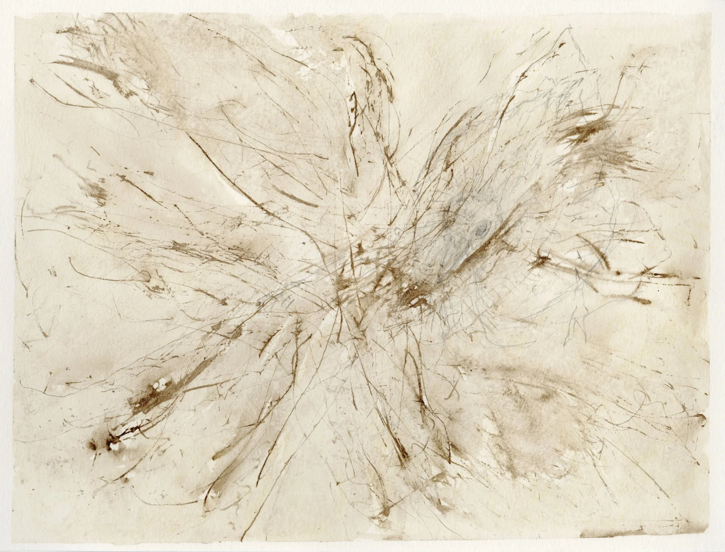 Fading Memory
Graphite, watercolor, 12" x 9" H, 2020