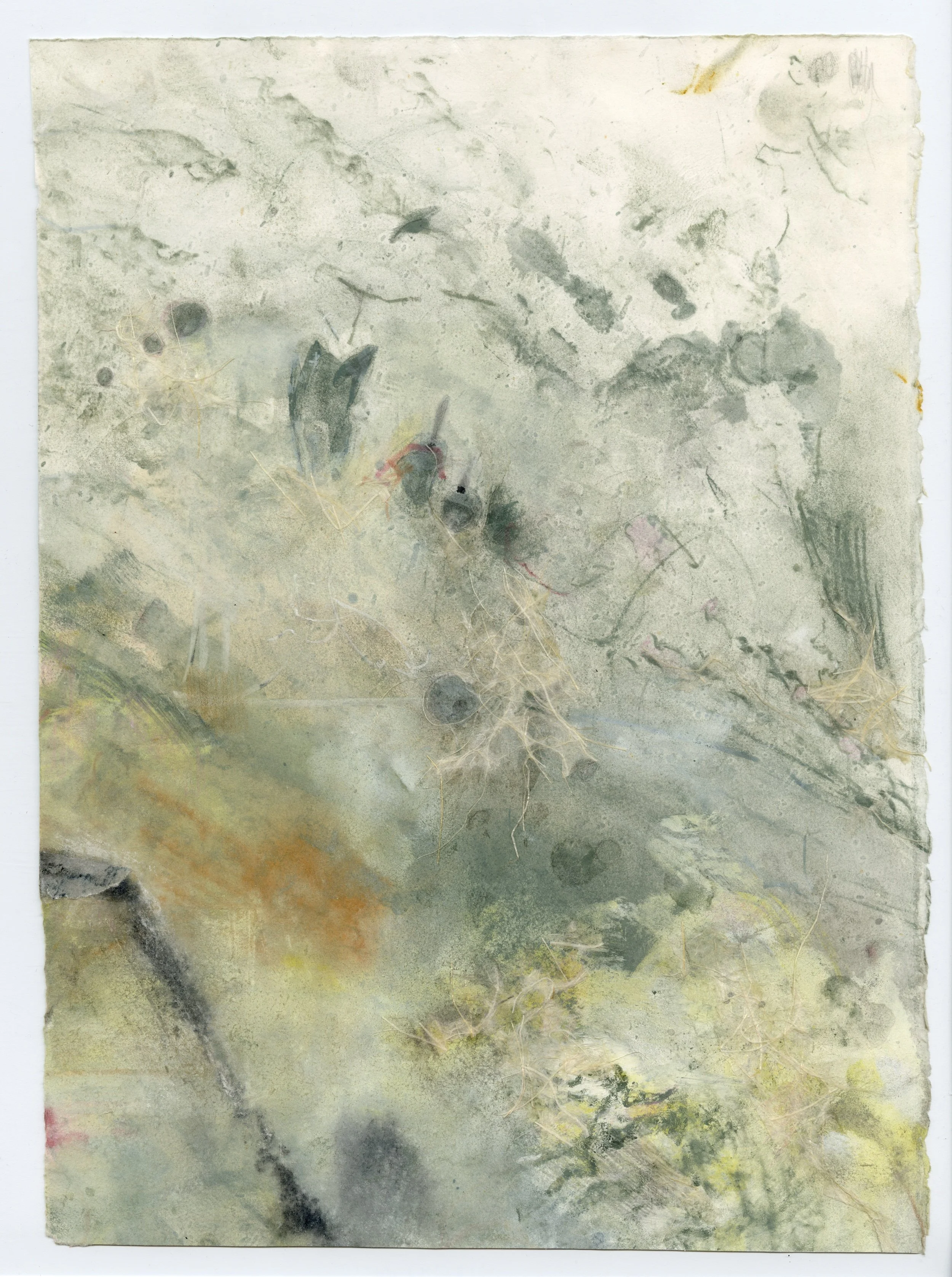 Murmuring III (tryptic)
Collage, colored pencil, graphite, pastel, water soluble crayon, 2023