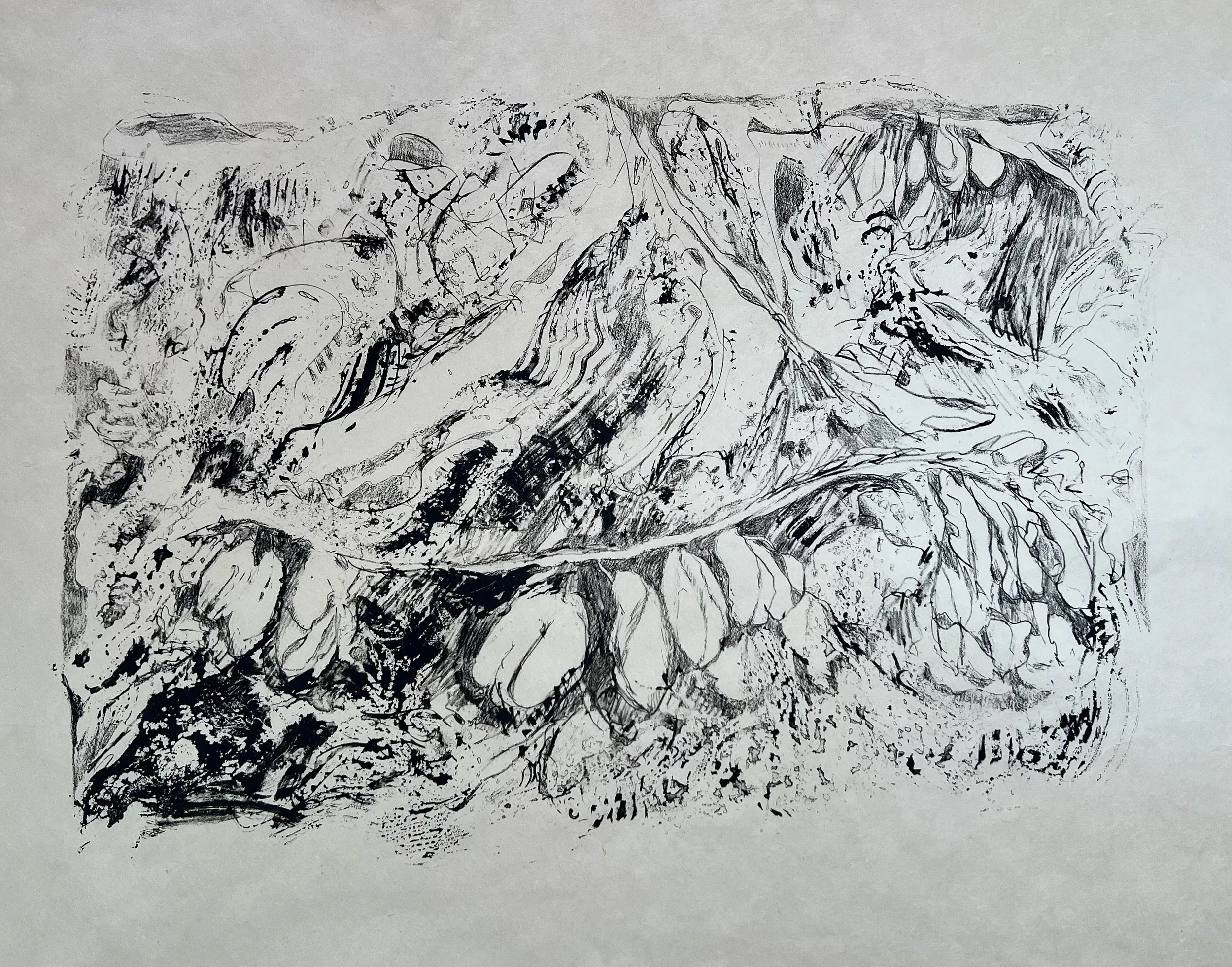 Garden Pods
Lithograph
20.5" x 17" H, 2026