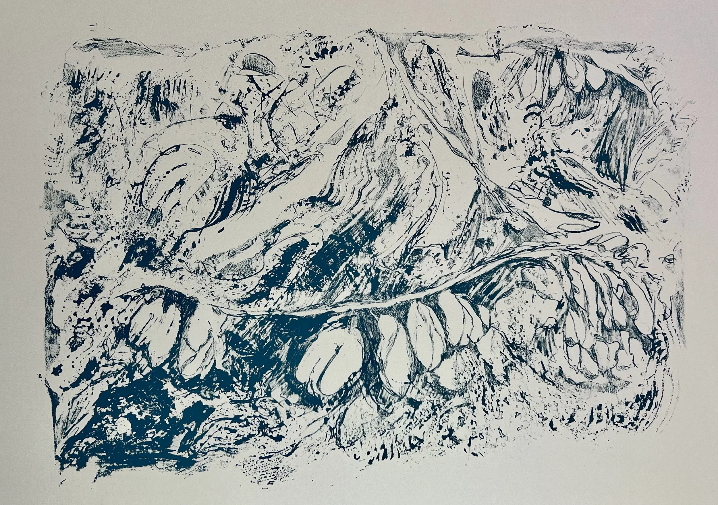 Garden Pods
Lithograph
22" x 15" H, 2026