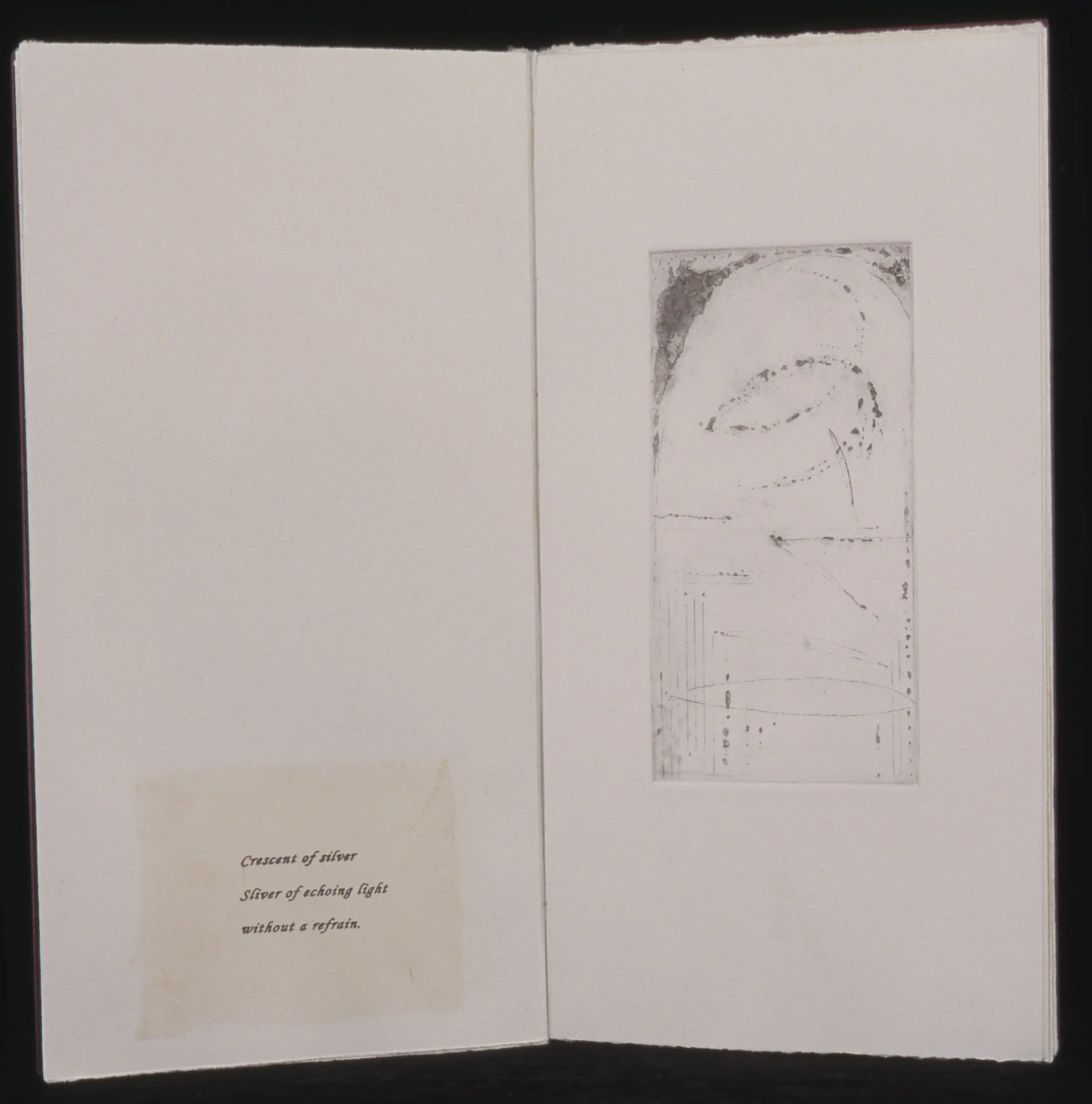 2005-008 a 2500.jpeg