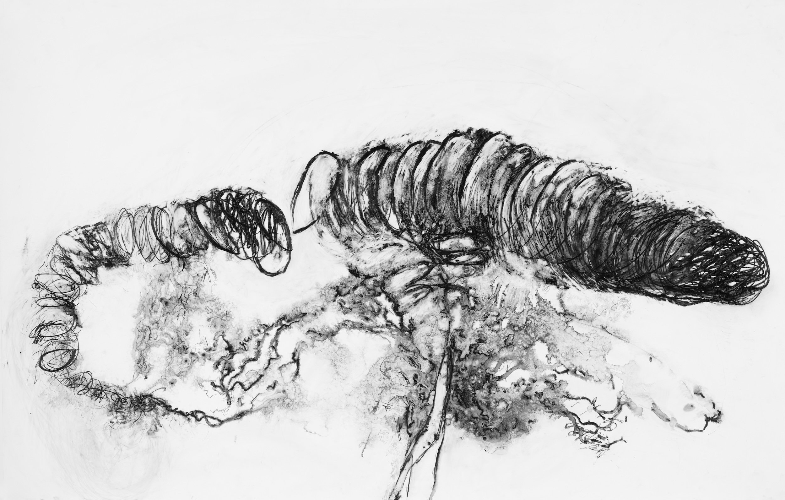 Implacable
Water soluble crayon, graphite, synthetic paper, 39.5" x 26" H, 2008