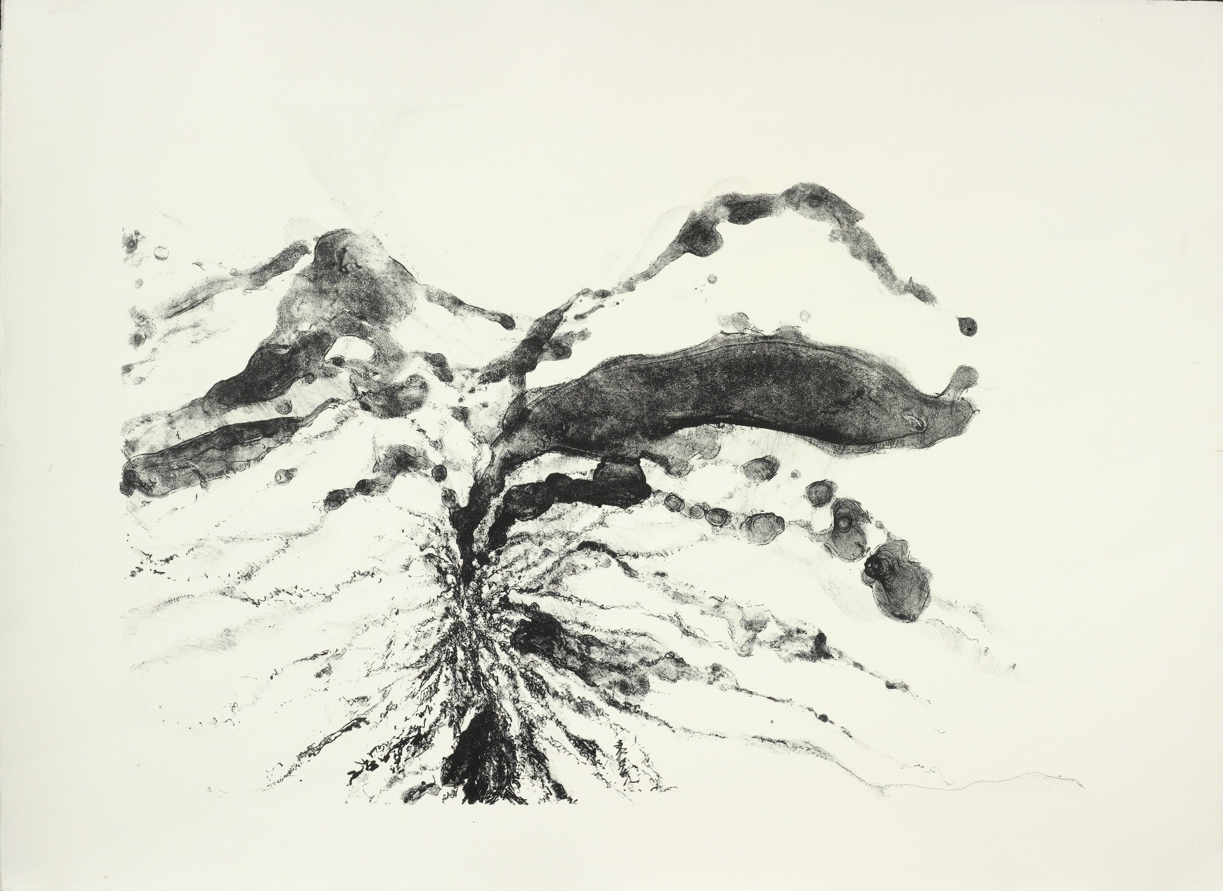 Incised Mountain
Lithograph, 21" x 31" H, 2009