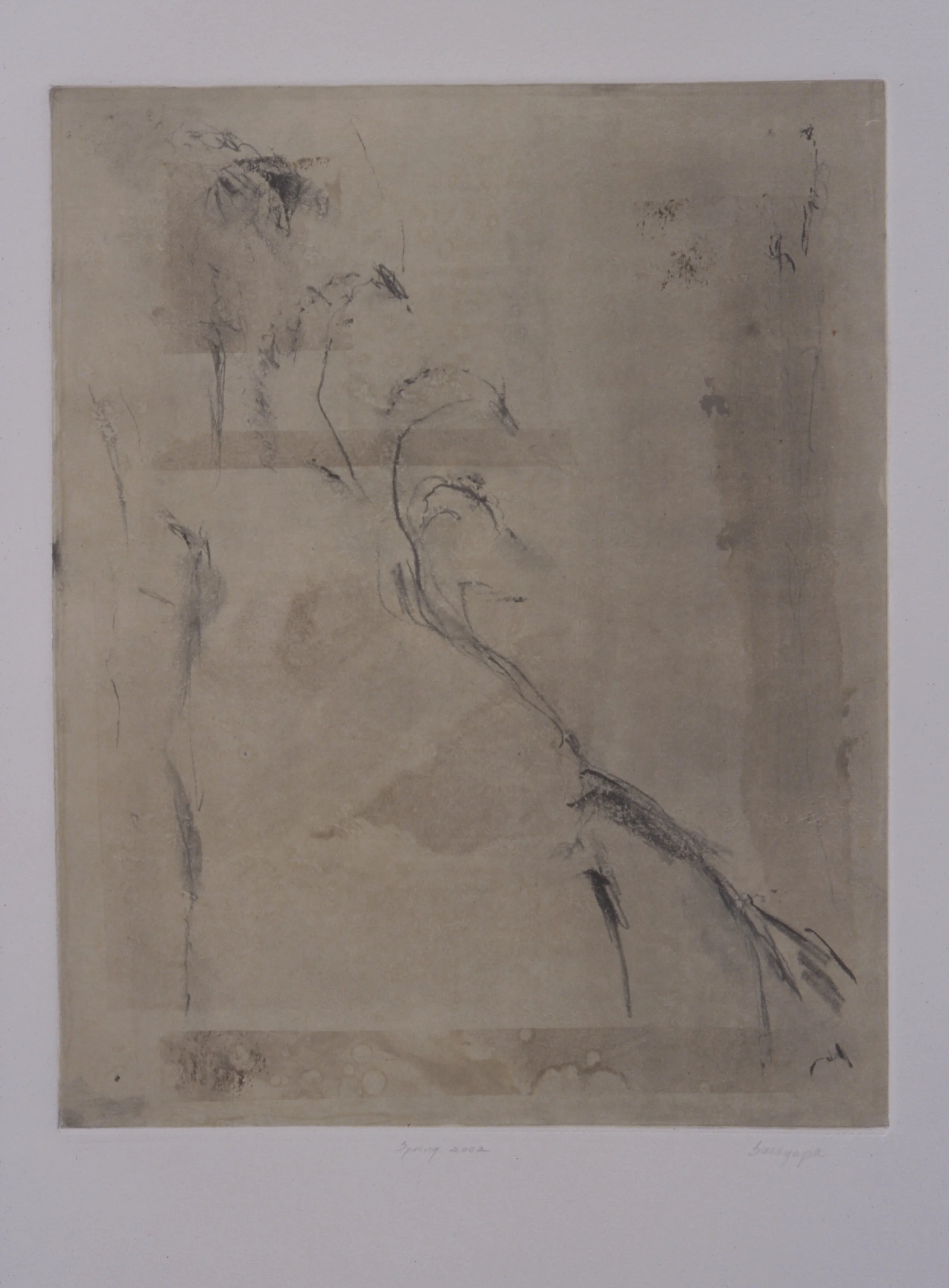 Mountain Arching
Monotype, 2001