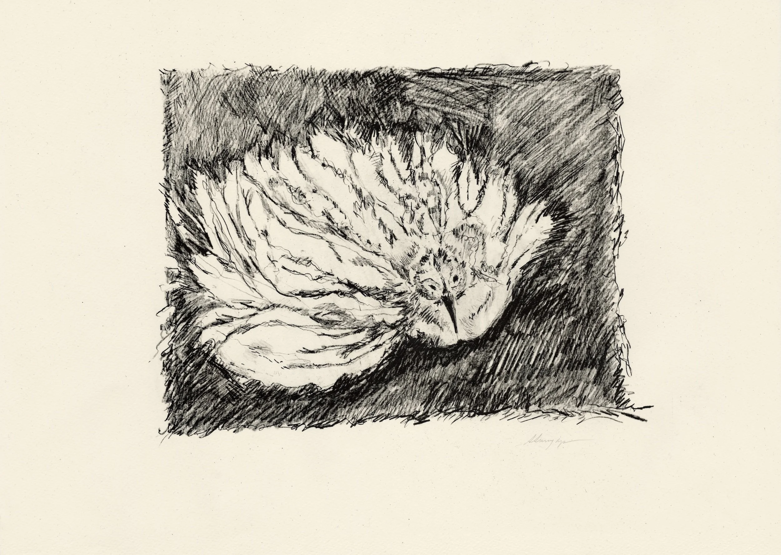 Last Breath 
Lithograph, 20.5" x 15" H, 2022