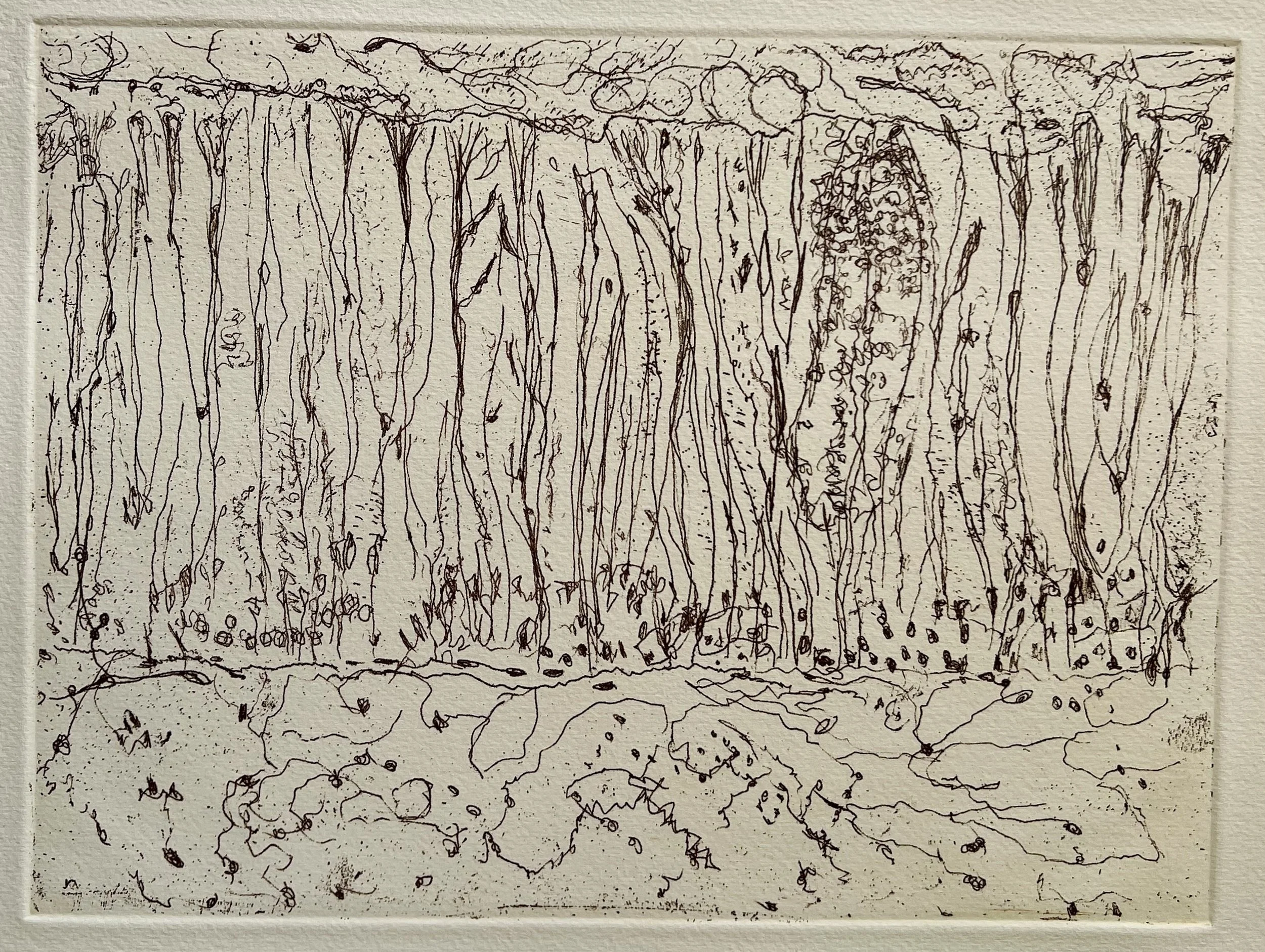 Threading
Soft-ground etching
12" x 8.75" H, 2026