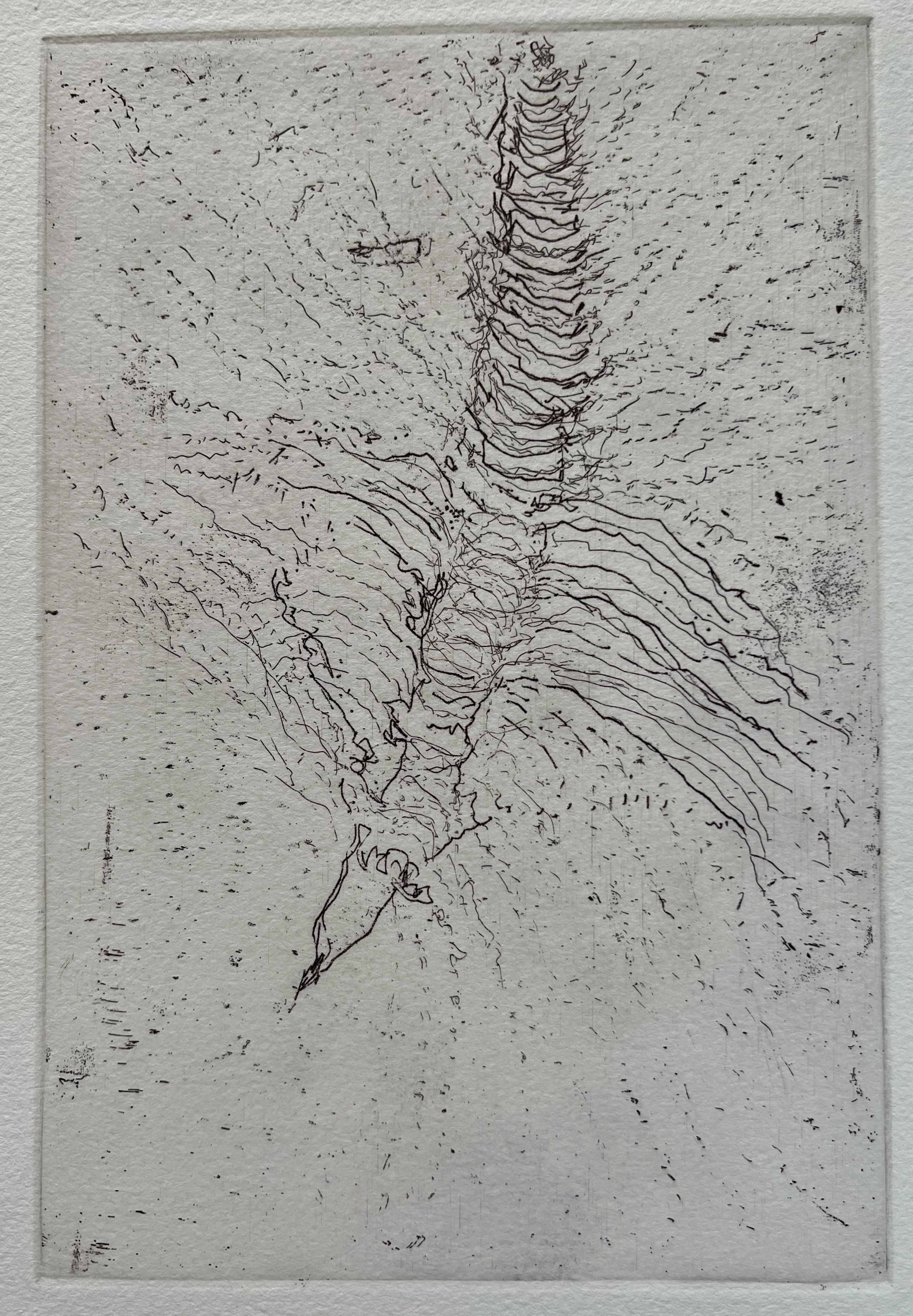 Descent
Soft-ground etching
6" x 9" H, 2026