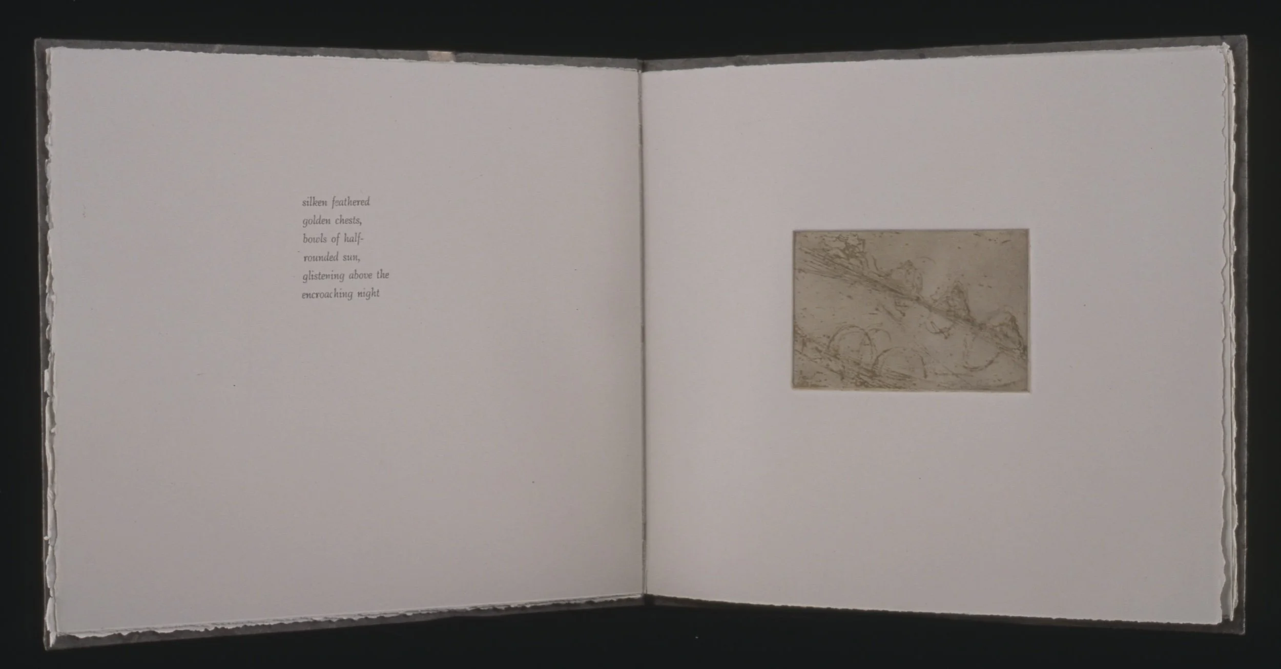 2005-007 a 2500.jpeg