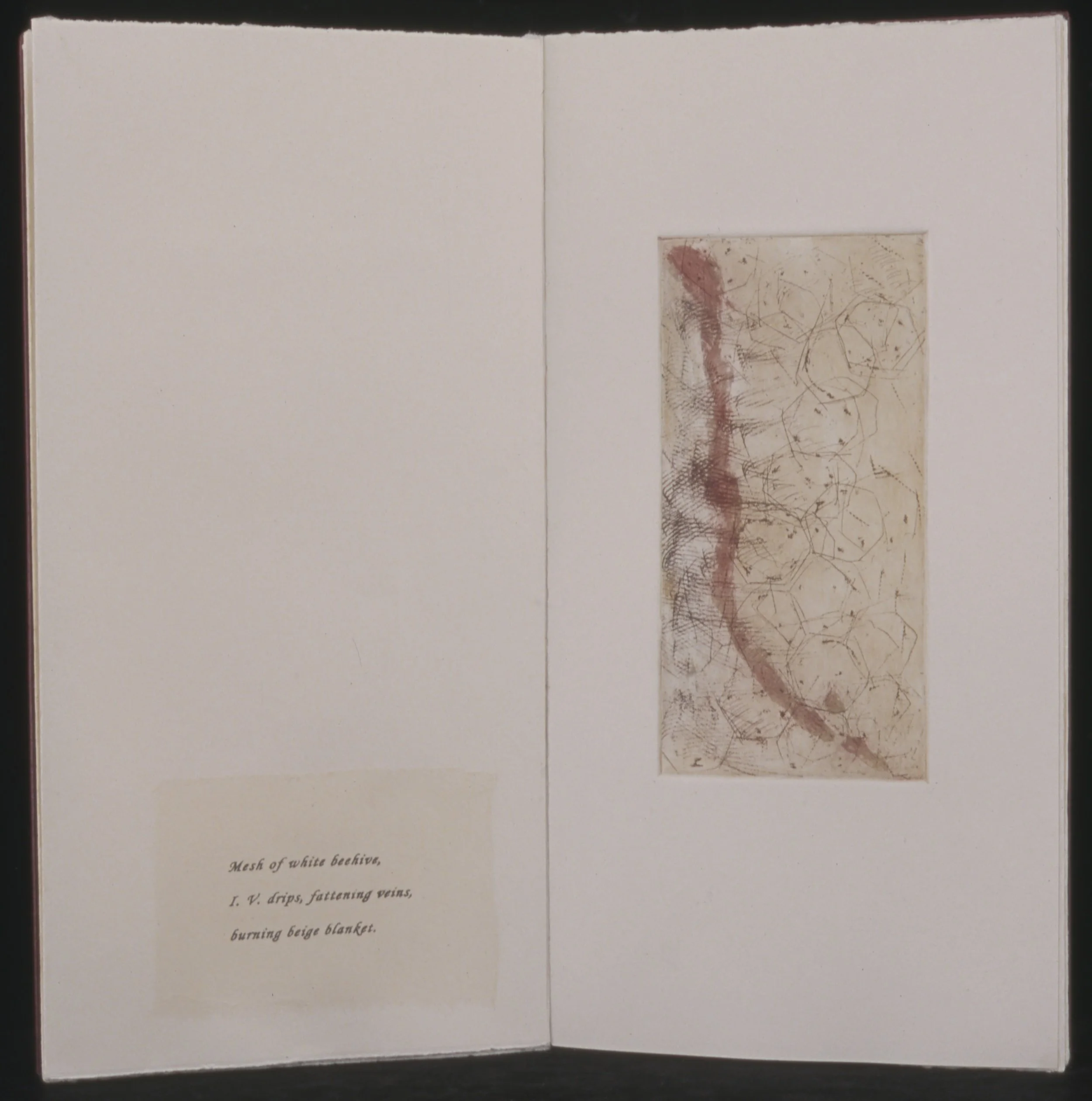 2005-008 c 2500.jpeg