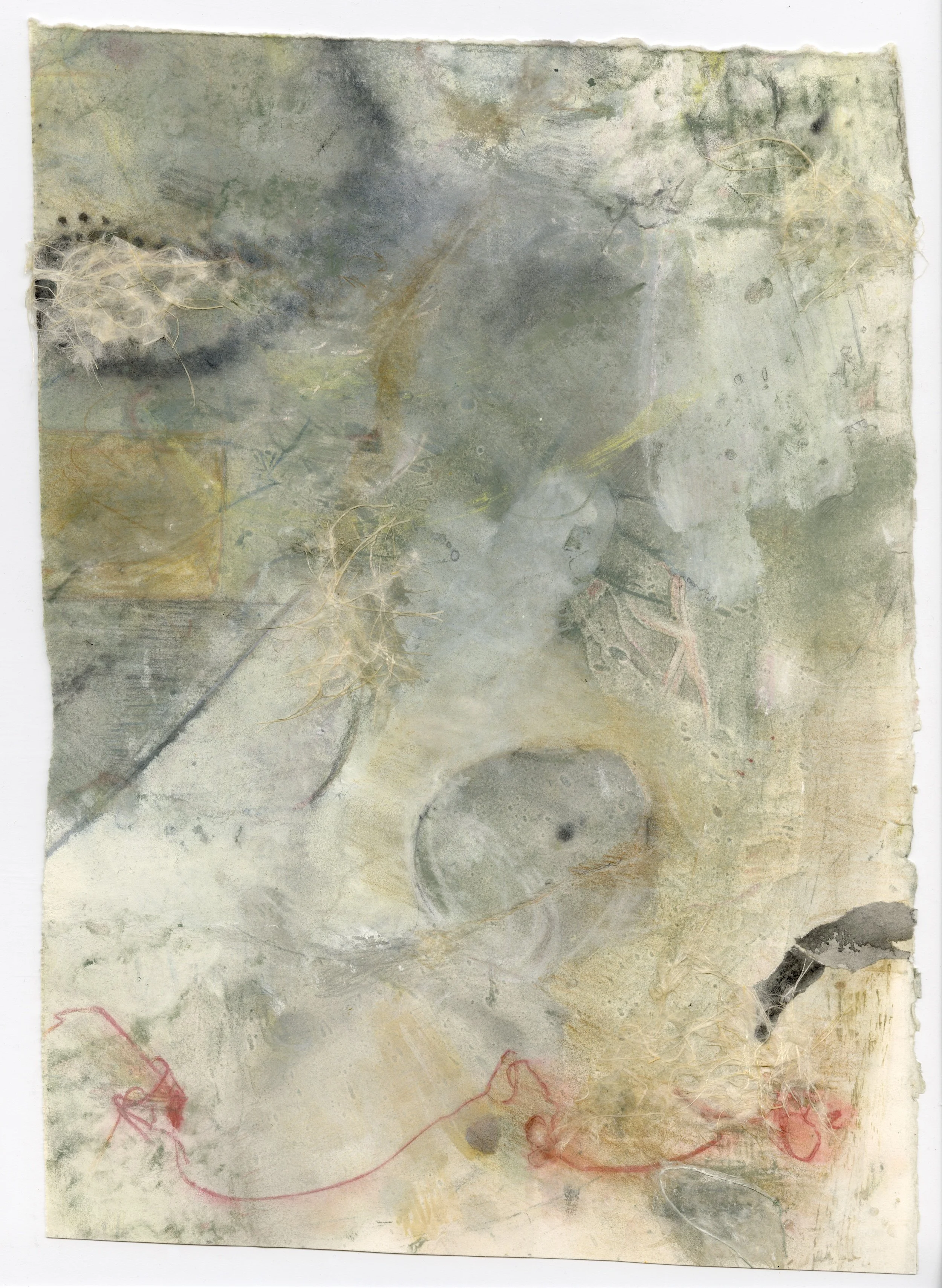 Murmuring II (tryptic)
Collage, colored pencil, graphite, pastel, water soluble crayon, 2023