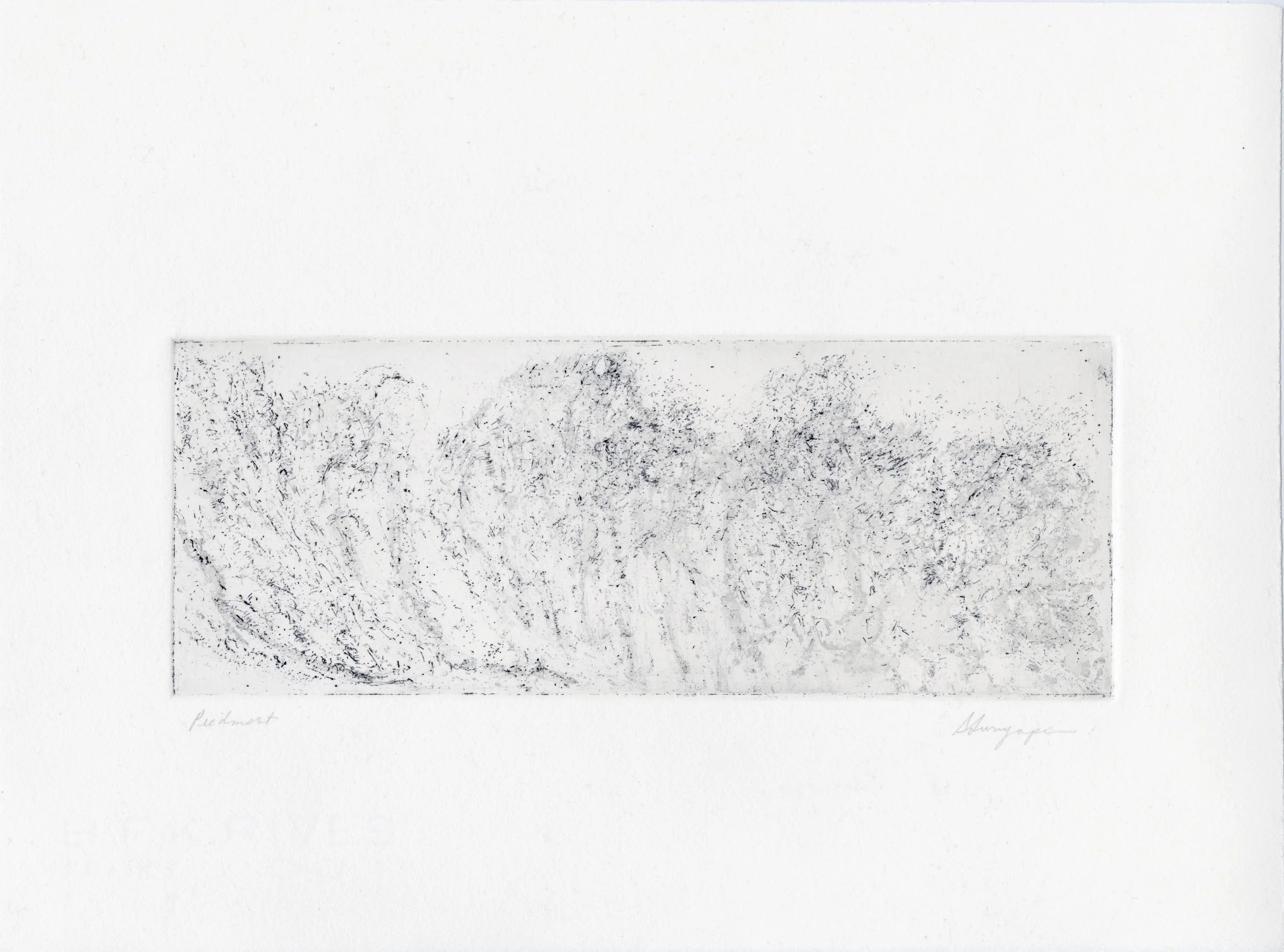 Expanse
Soft-ground etching, 15" x 11" H, 2023