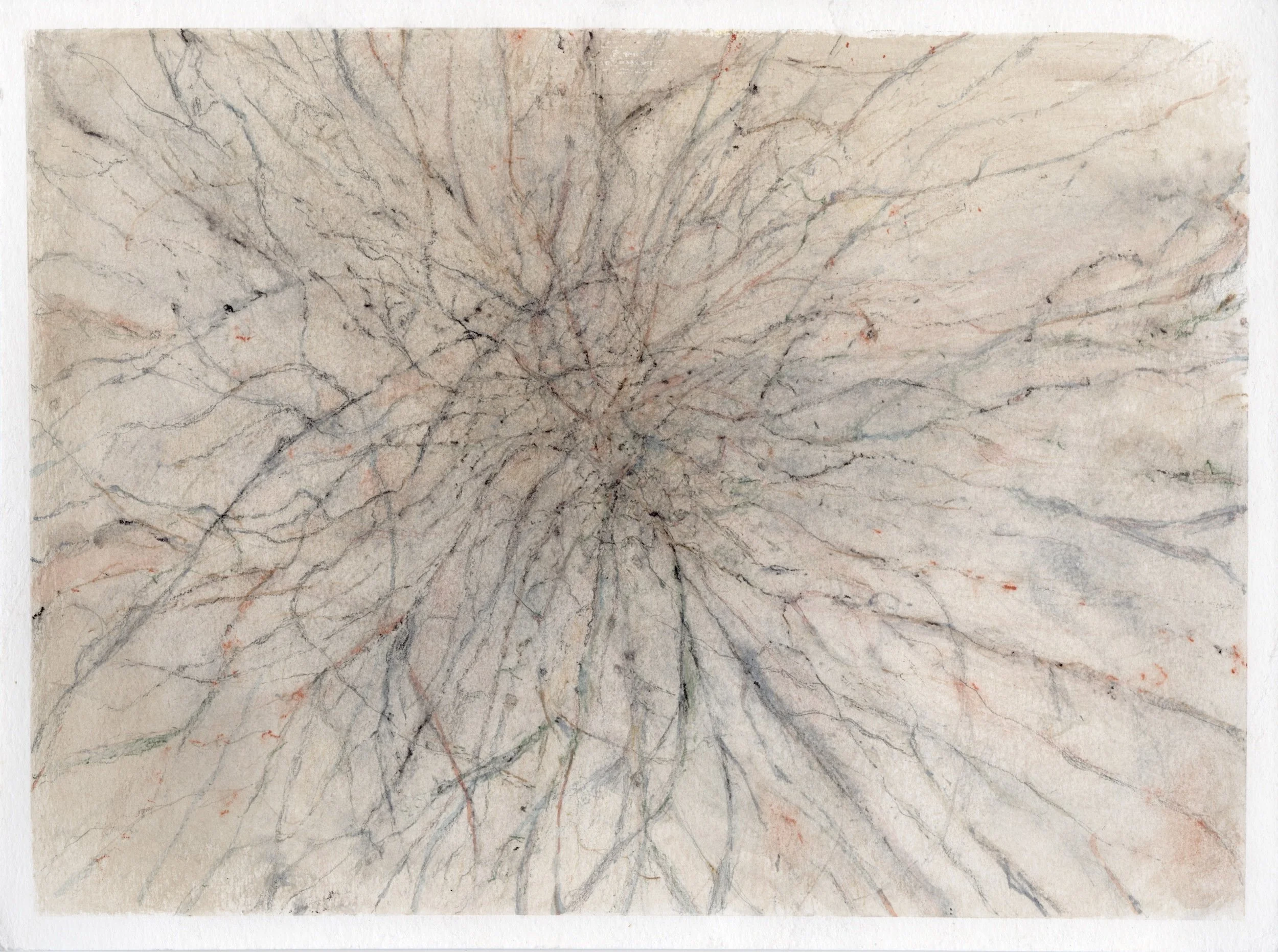 Scented Hymn
Colored Pencil, Watercolour
12" x 9” H, 2020