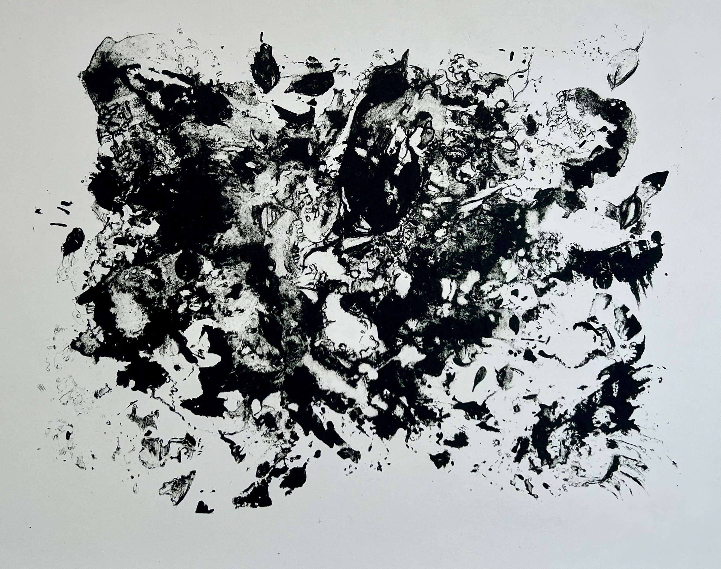 Grounding
Lithograph
15" x 11" H, 2026