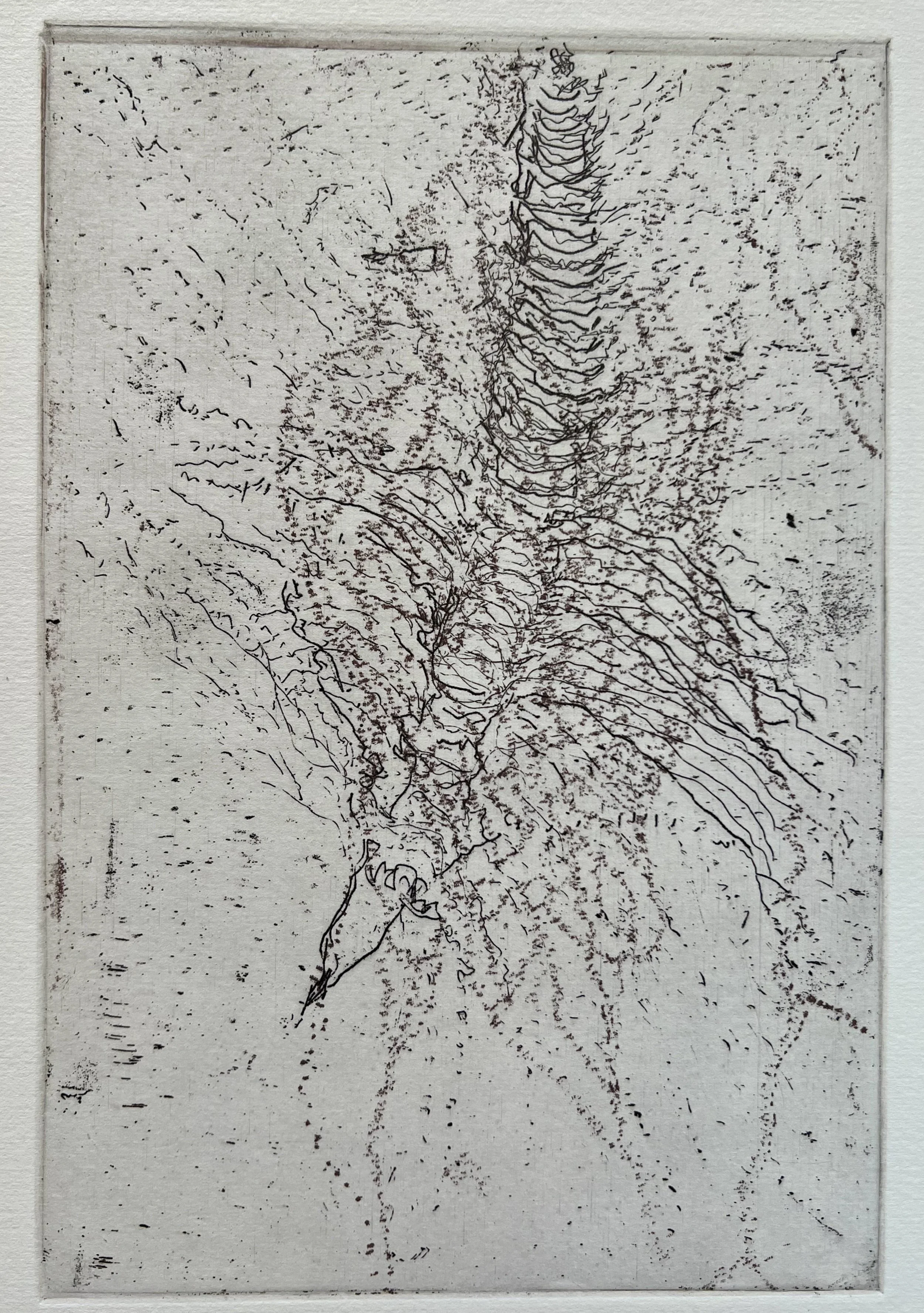 Whispering Descent
Soft-ground etching
6" x 9" H, 2026