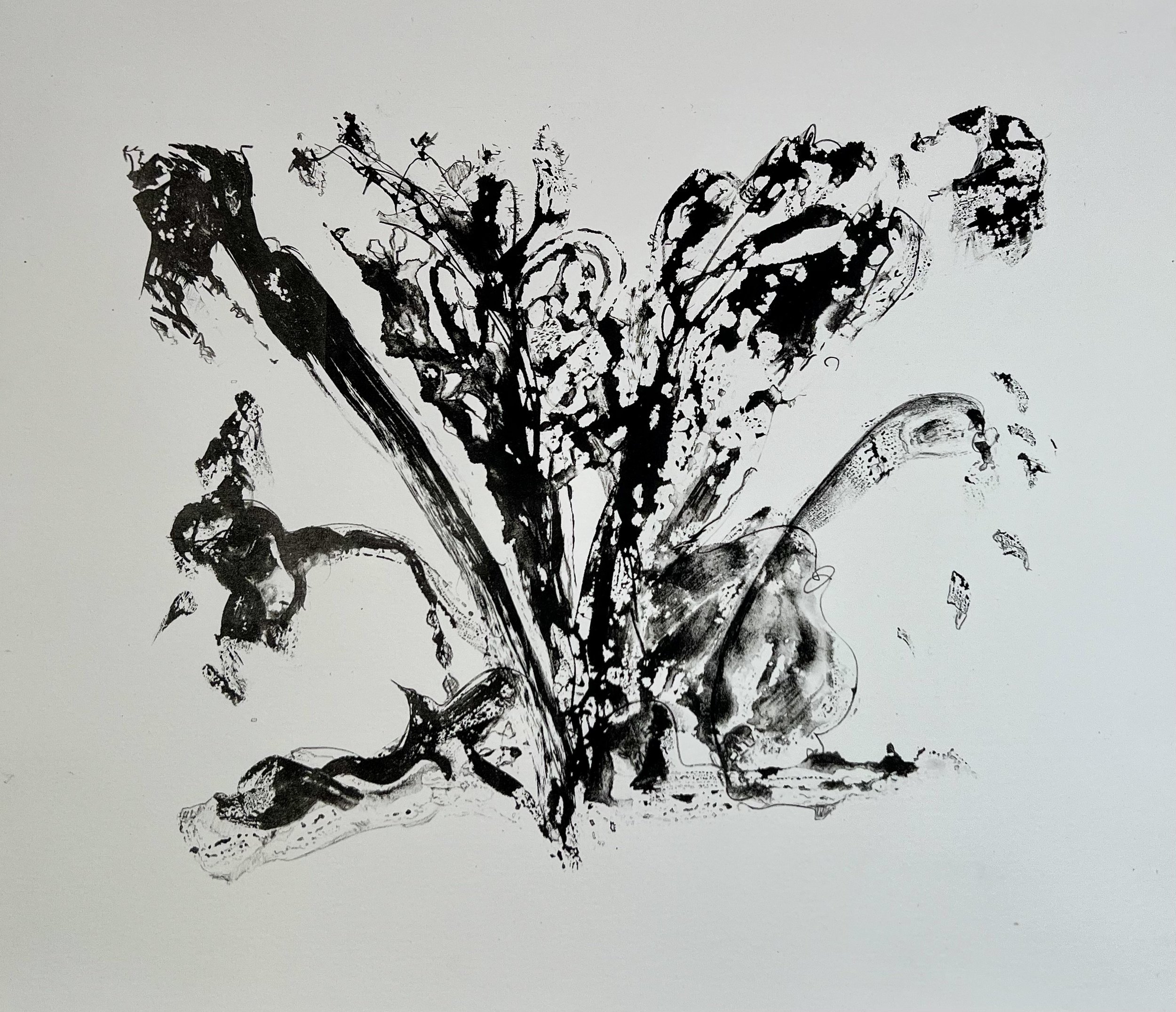 Unfurling
Lithograph
15" x 11", 2026