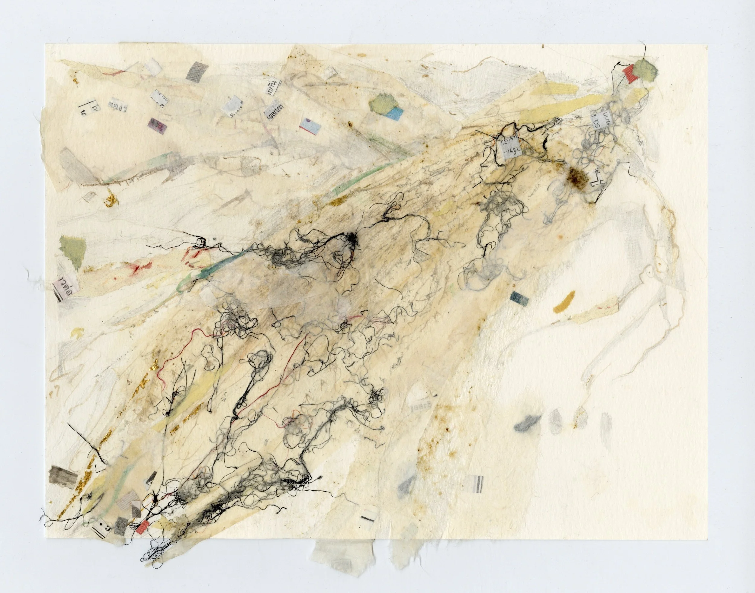 Flutter Fall V
Collage, gold leaf, graphite, thread, 12" x 9"H, 2021