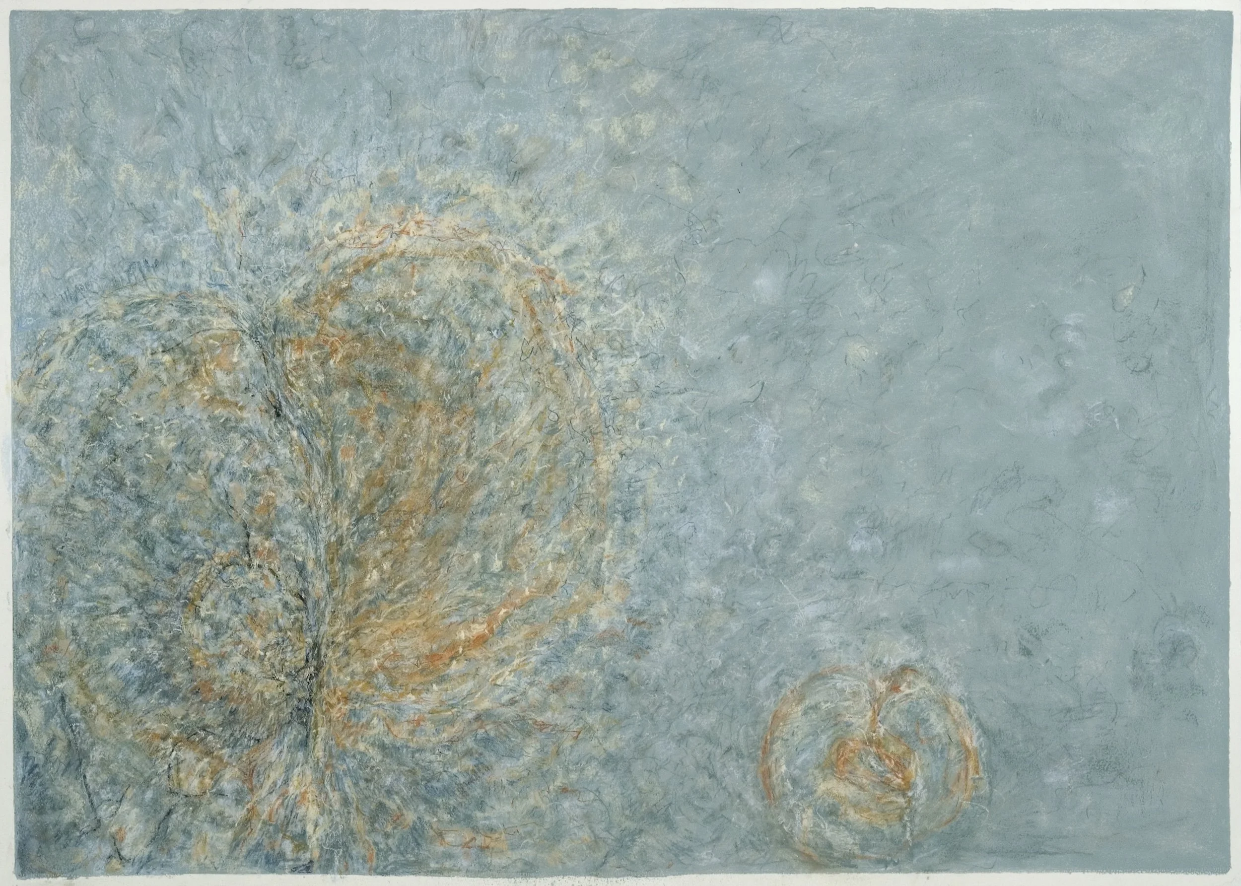 Pod Study
Pastel, 27" x 20" H, 2007