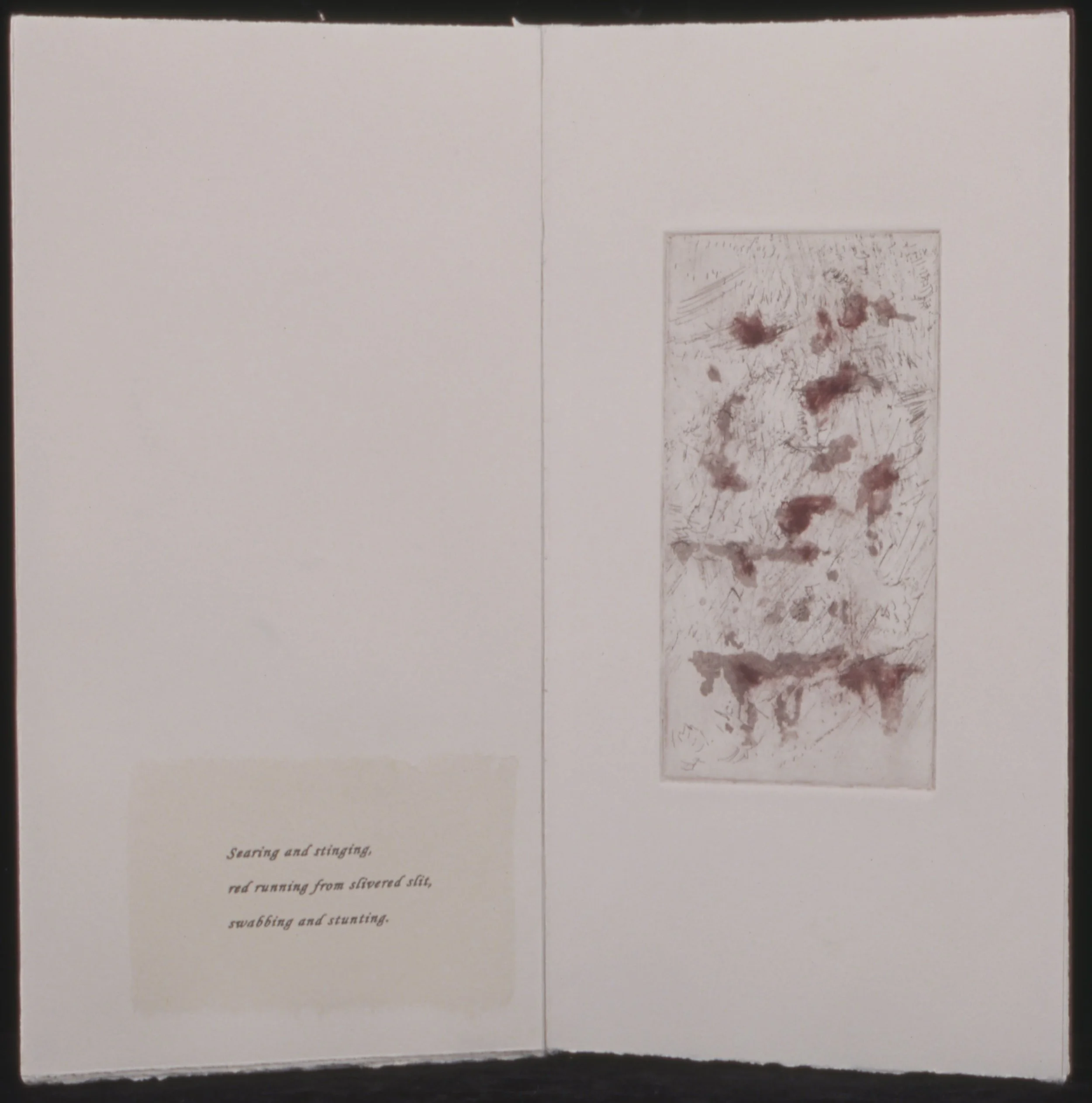 2005-008 d 2500.jpeg