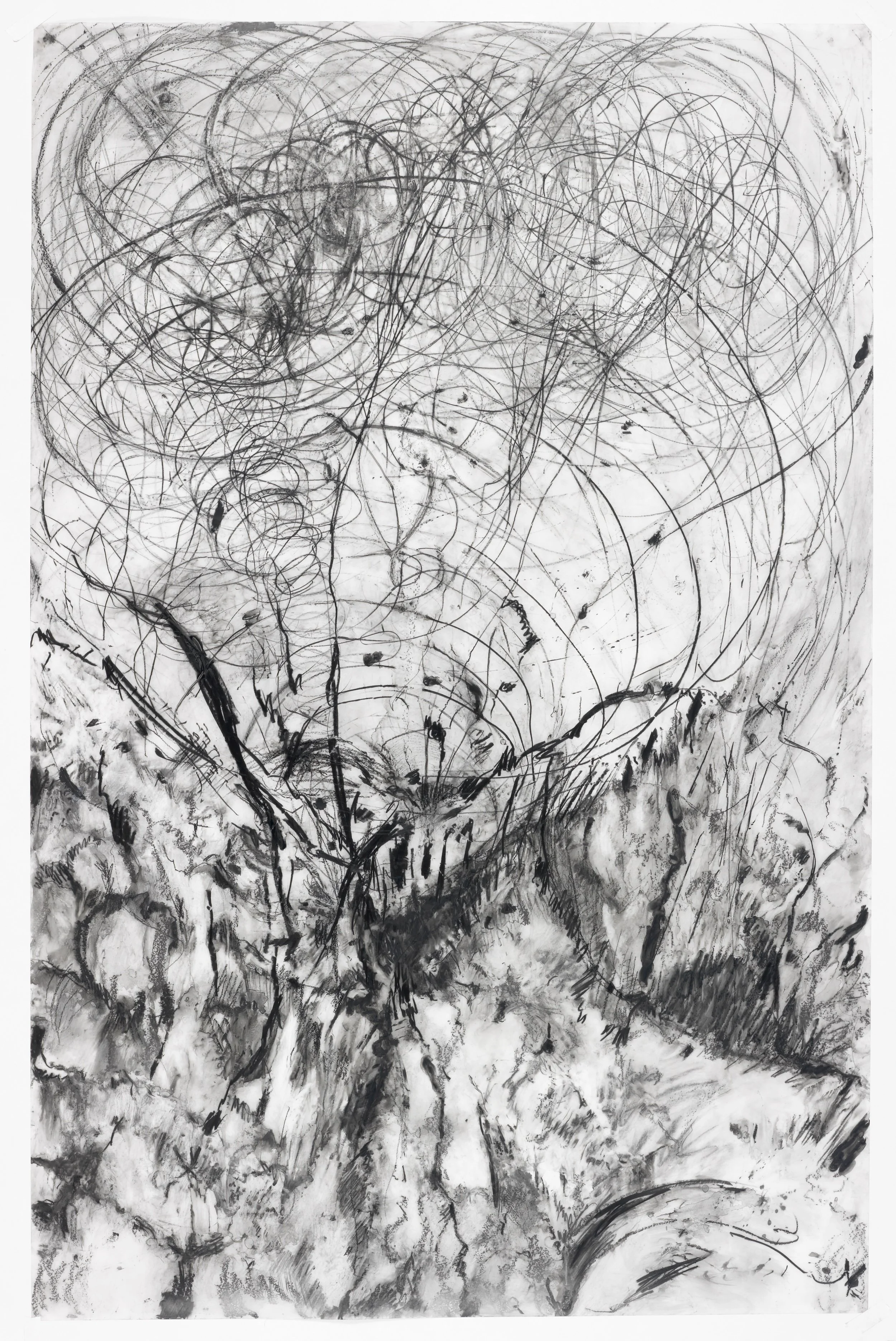 Slivered Trail
Water soluble crayon, graphite, tusche, synthetic paper, 36" x 56" H, 2010