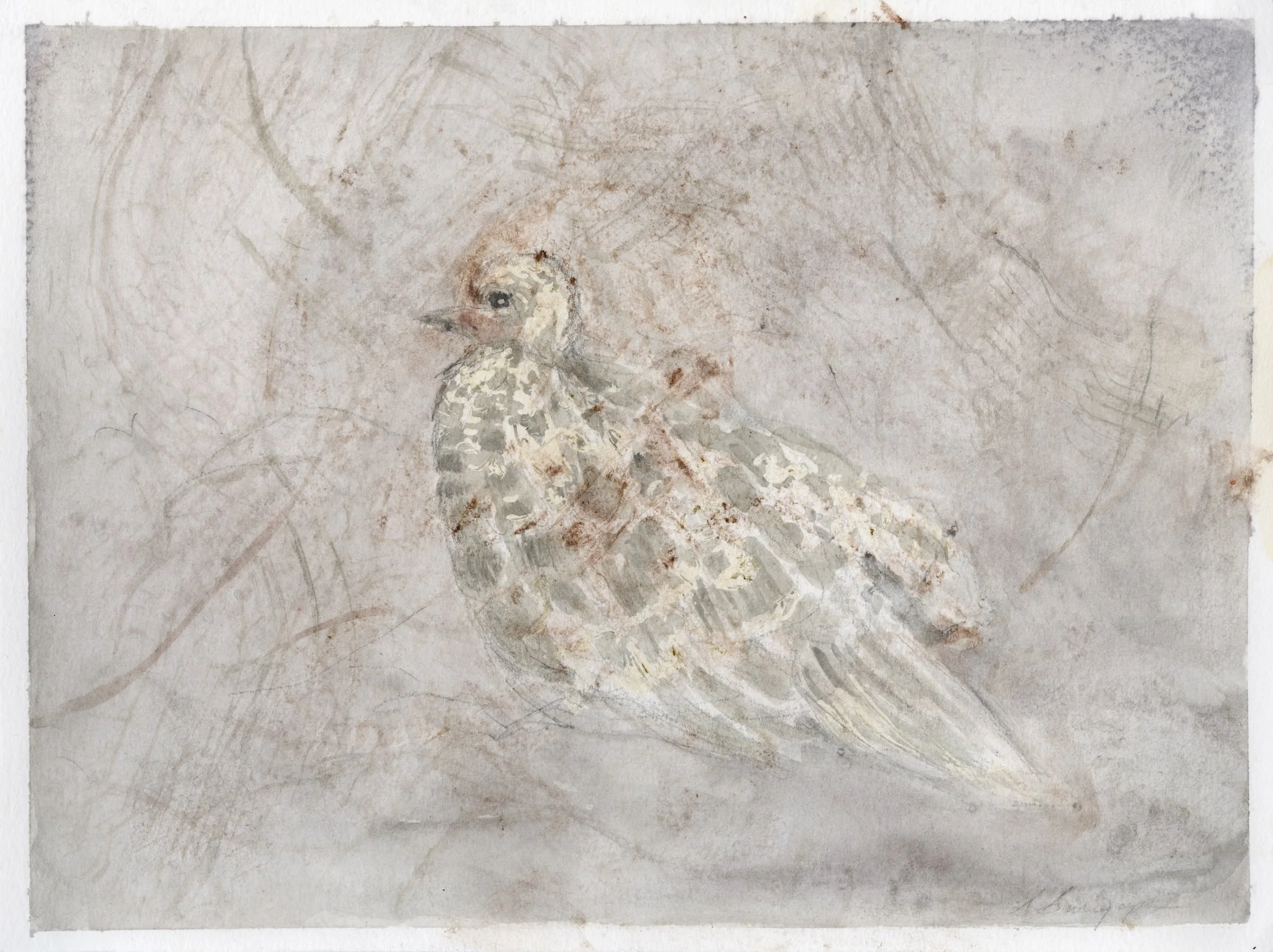 Twigs
Pastel, watercolor, 12" x 9" H, 2020