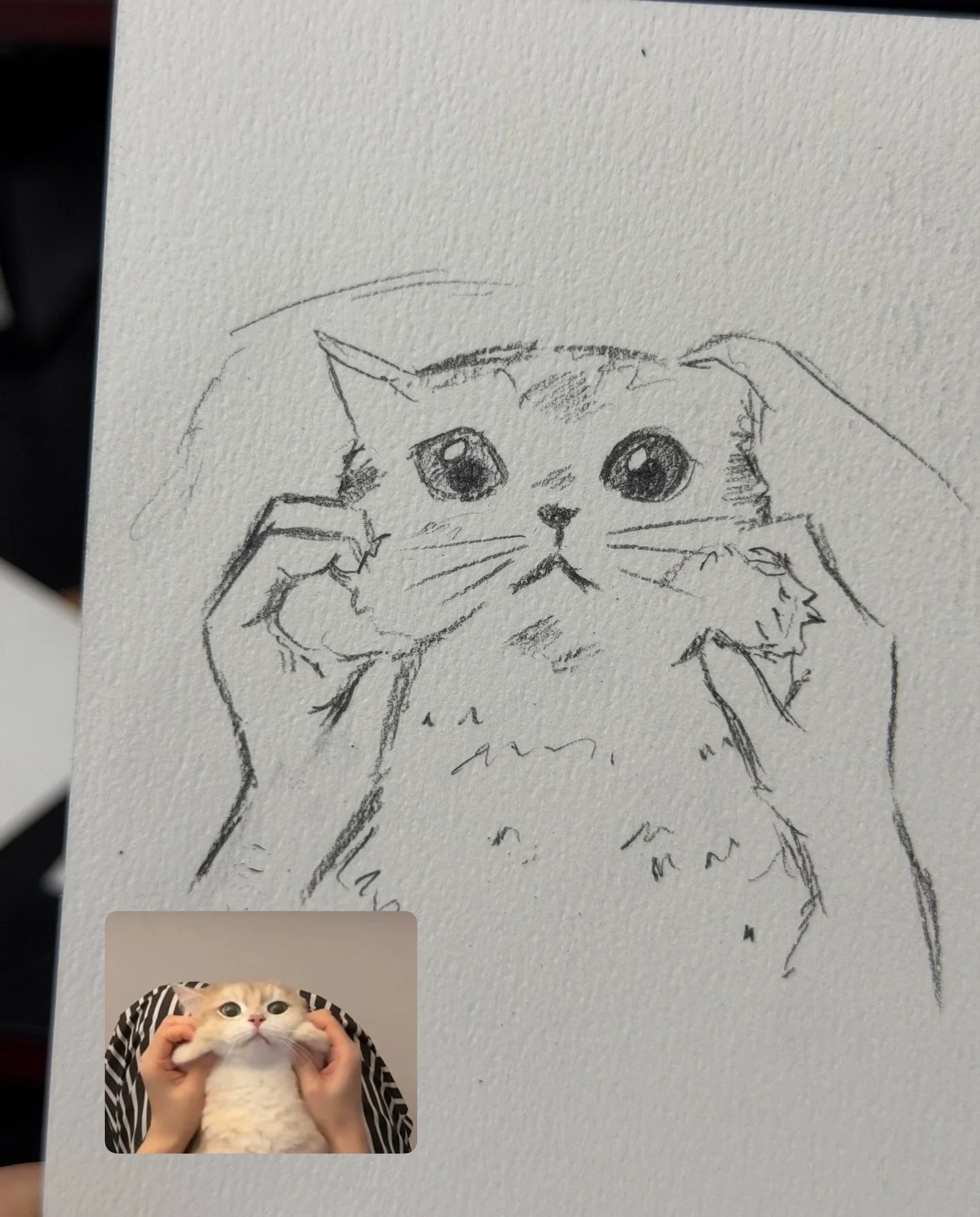 @mayo.o_gram 🐈

&mdash;-
#イラスト　#그림 #drawing