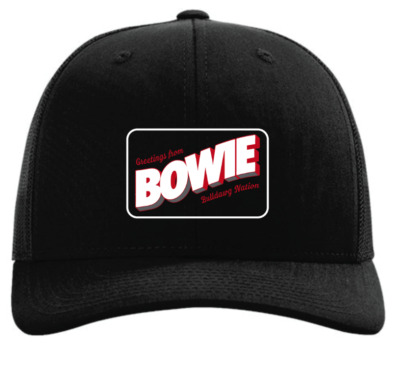 Bowie Logo Hat
