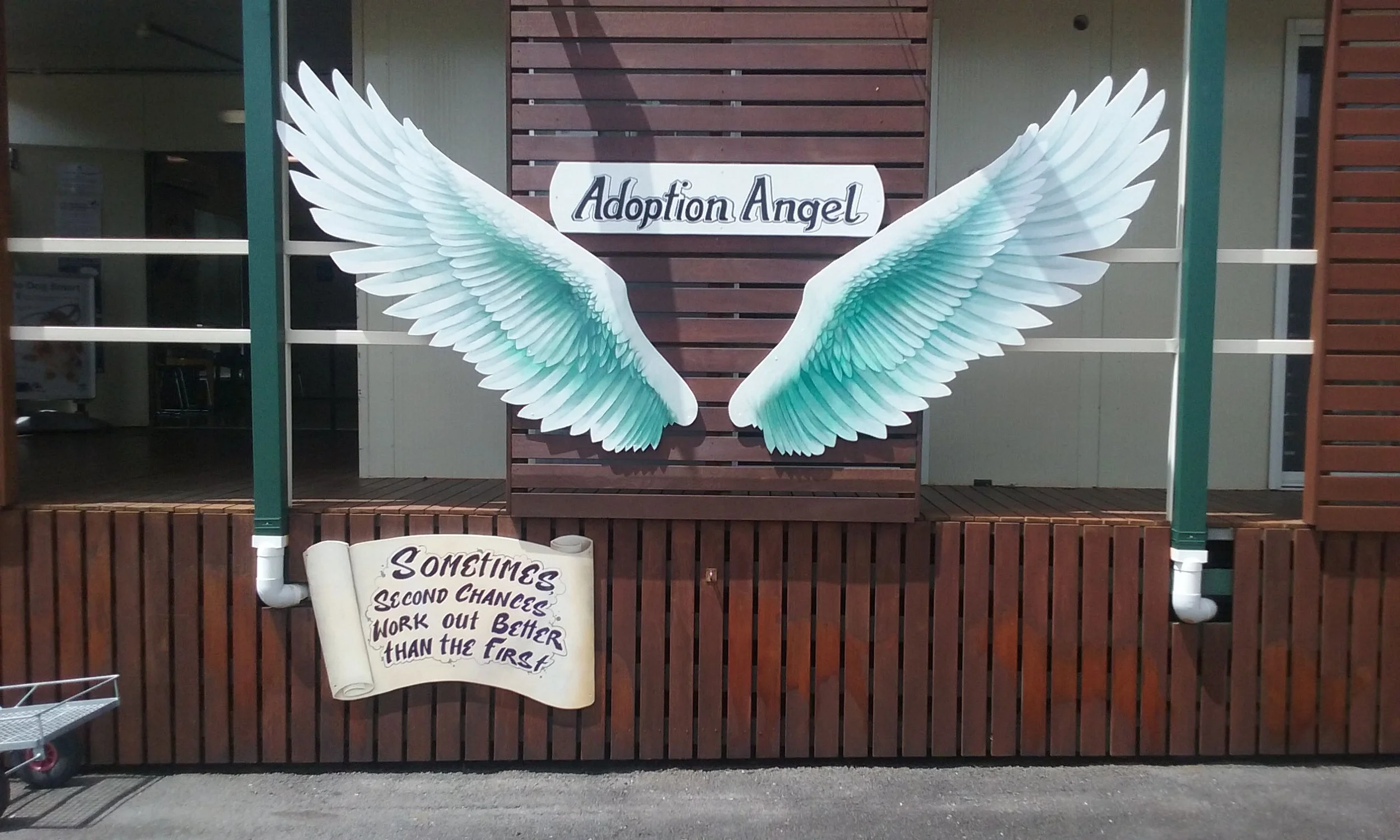 Adoption angel wings at the Kingston Pound