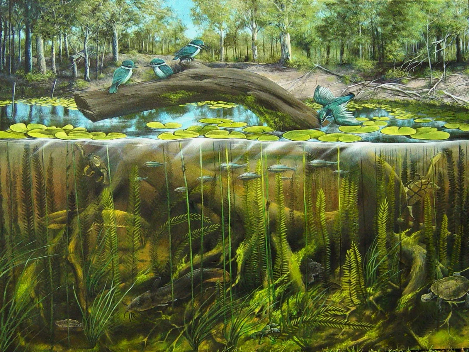 Board for Finance room of Logan City Council