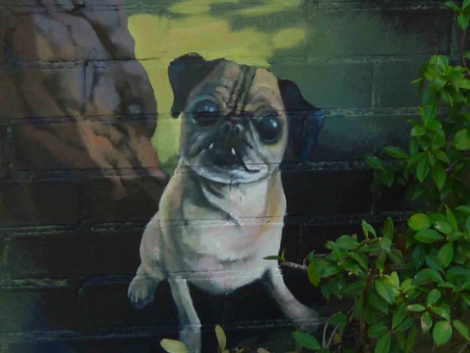 Close up of Evergreen Park, Waterford