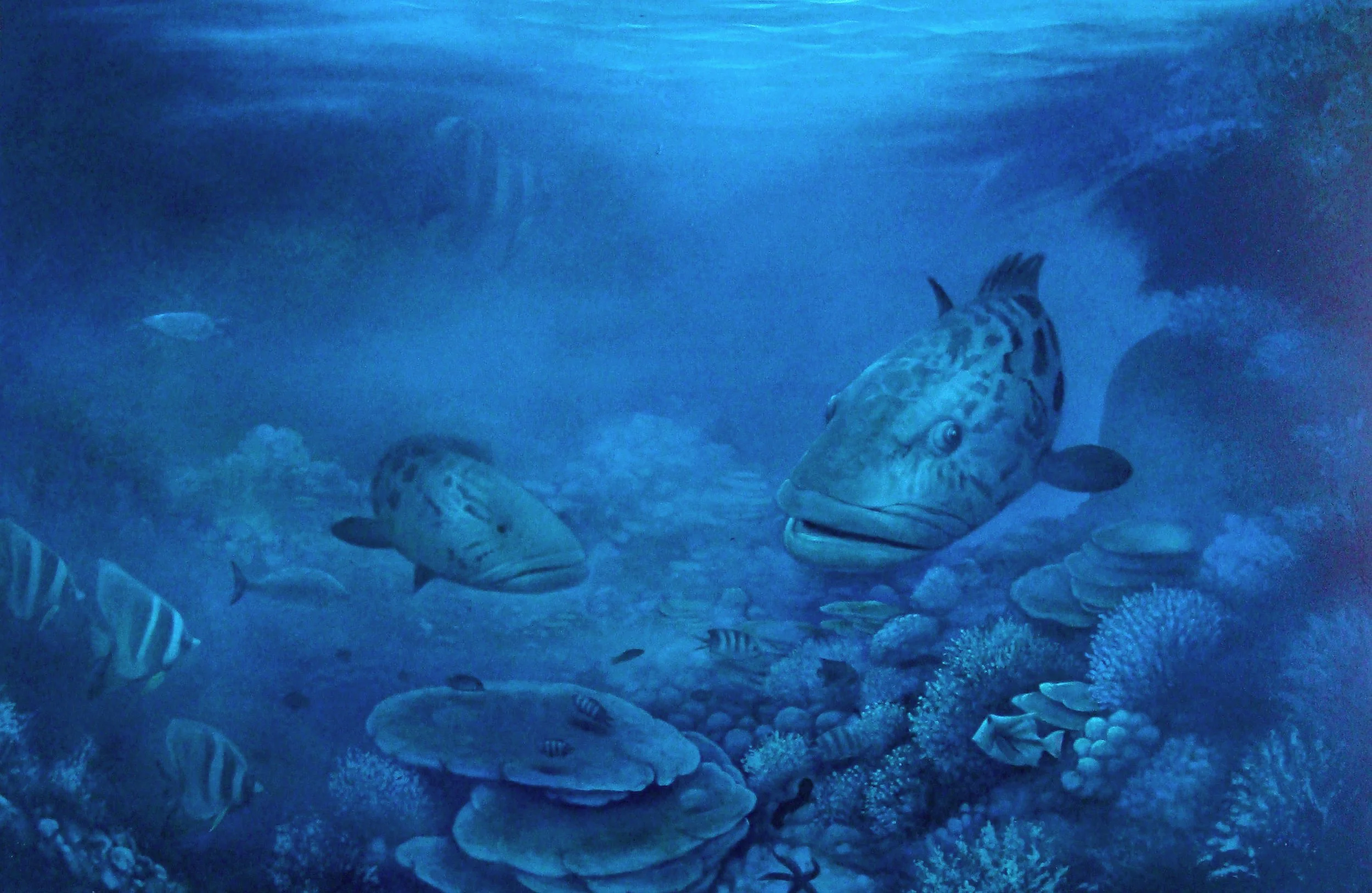 Board for private residence