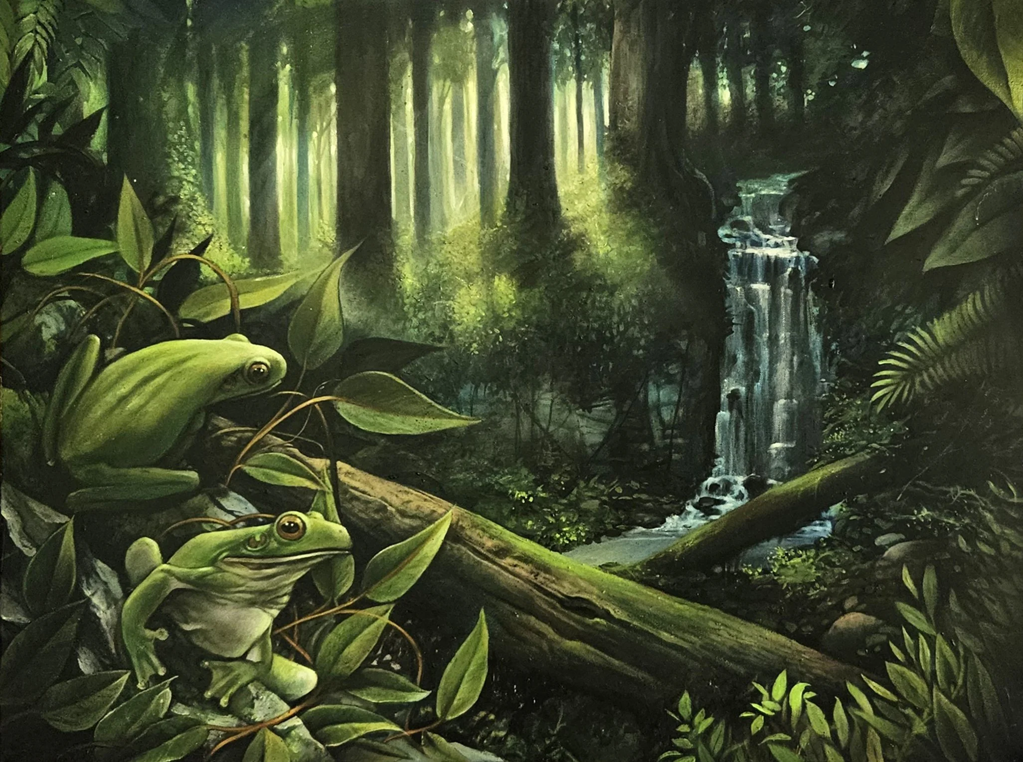 20241107_102015 copy.jpg