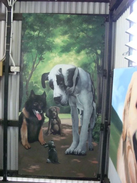 Mural in dog holding area at Kingston Pound