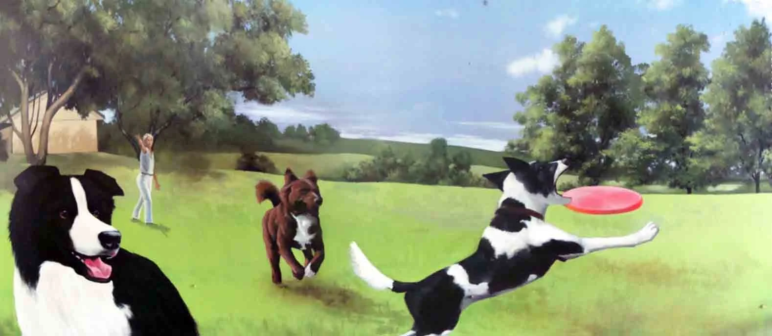 One of several paintings in the dog holding section of Kingston Animal management Centre