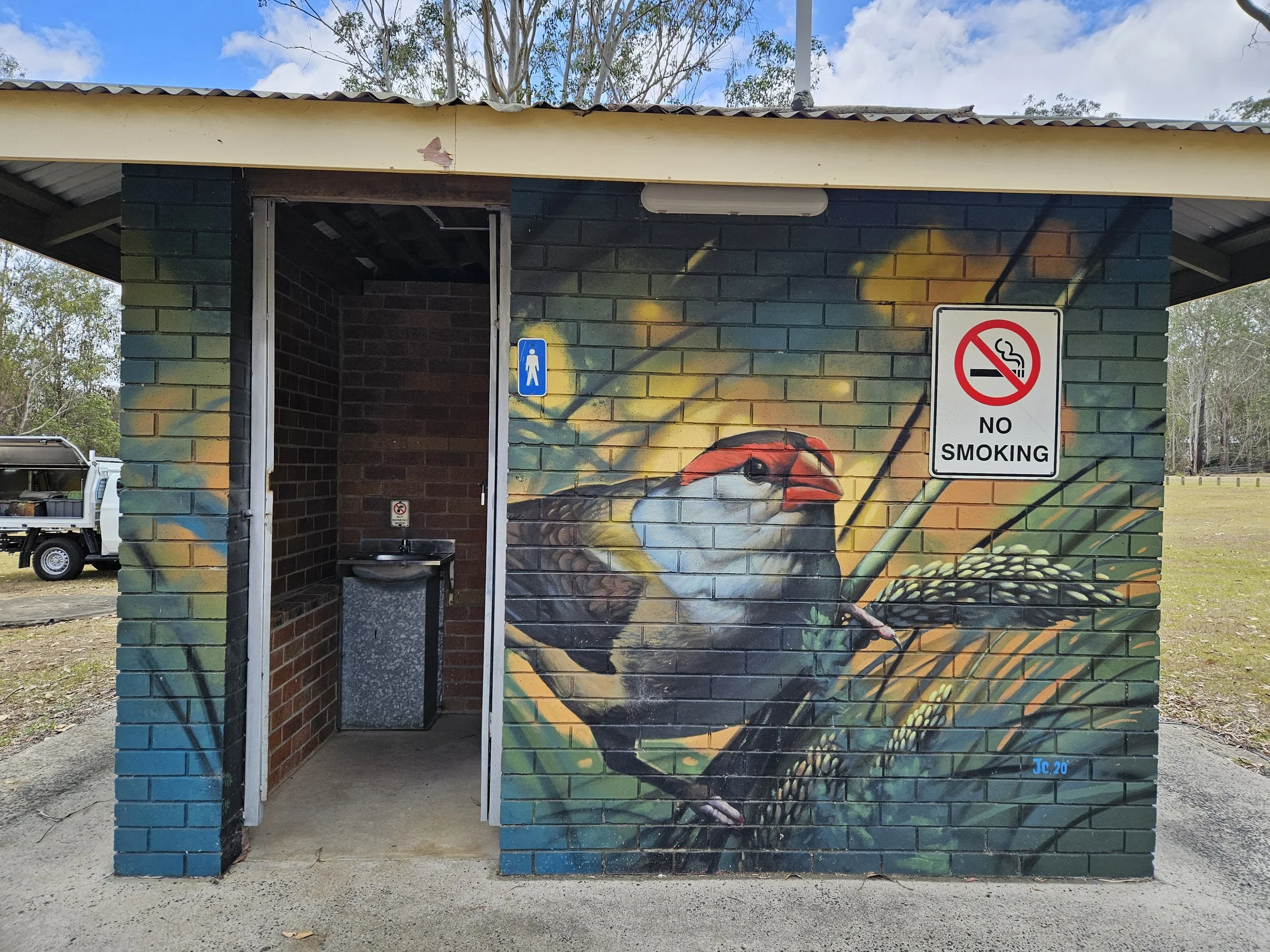 Finch painted at a park in Cedar Grove, to the south of Brisbane.