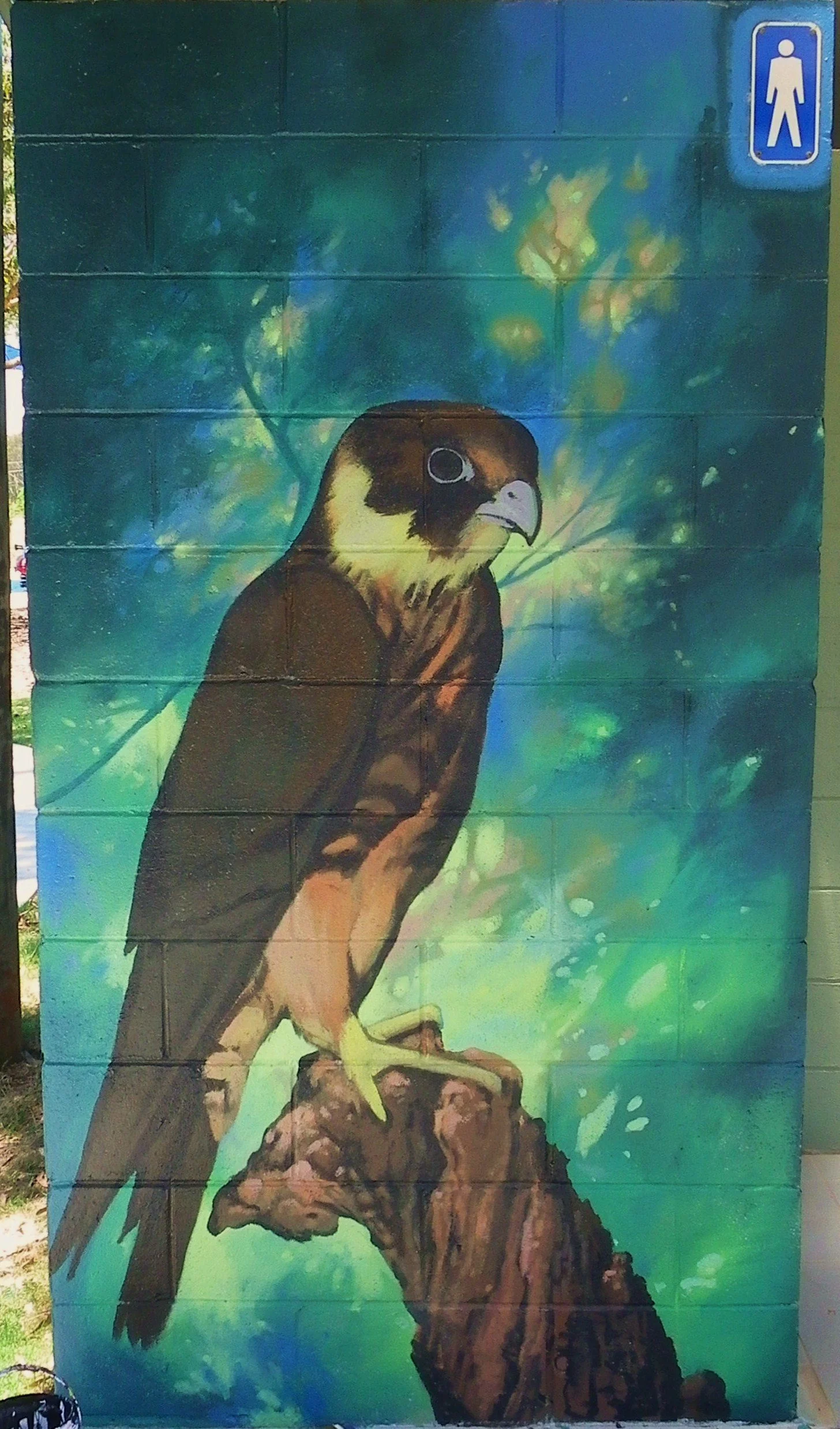 Falcon painted as one of 6 murals on a Toilet block at Marsden. 