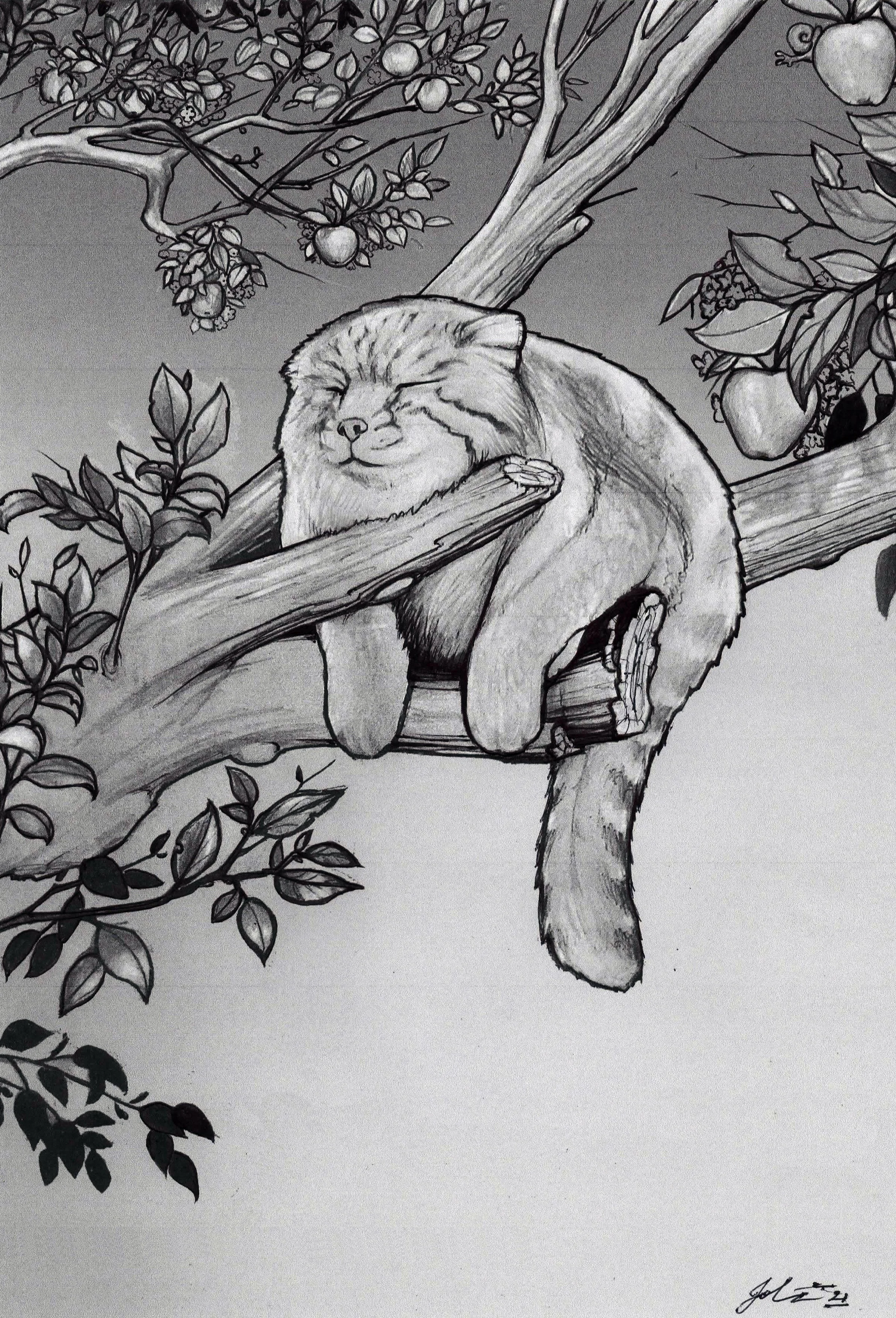 Sleepy cat sketch
