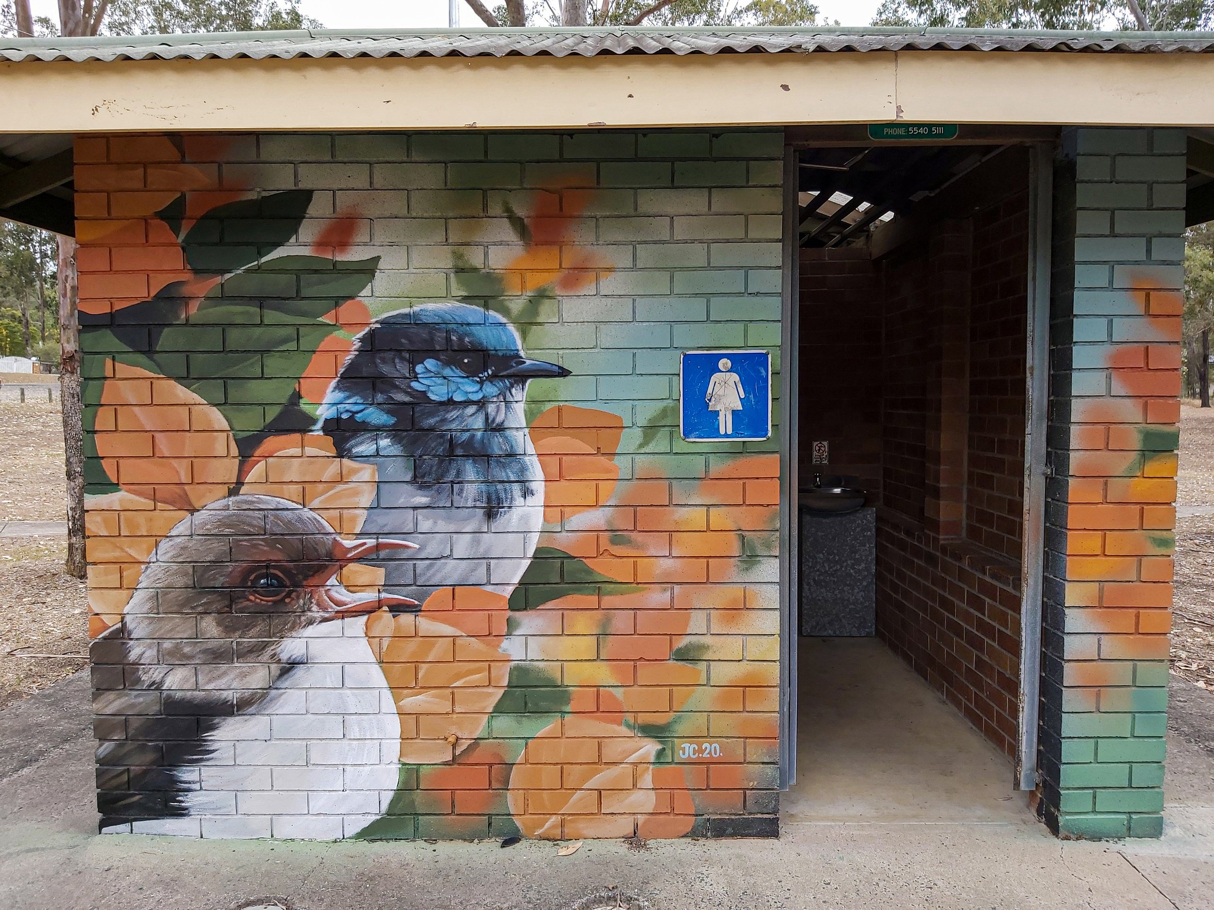 Fairy wrens at park in Cedar Grove