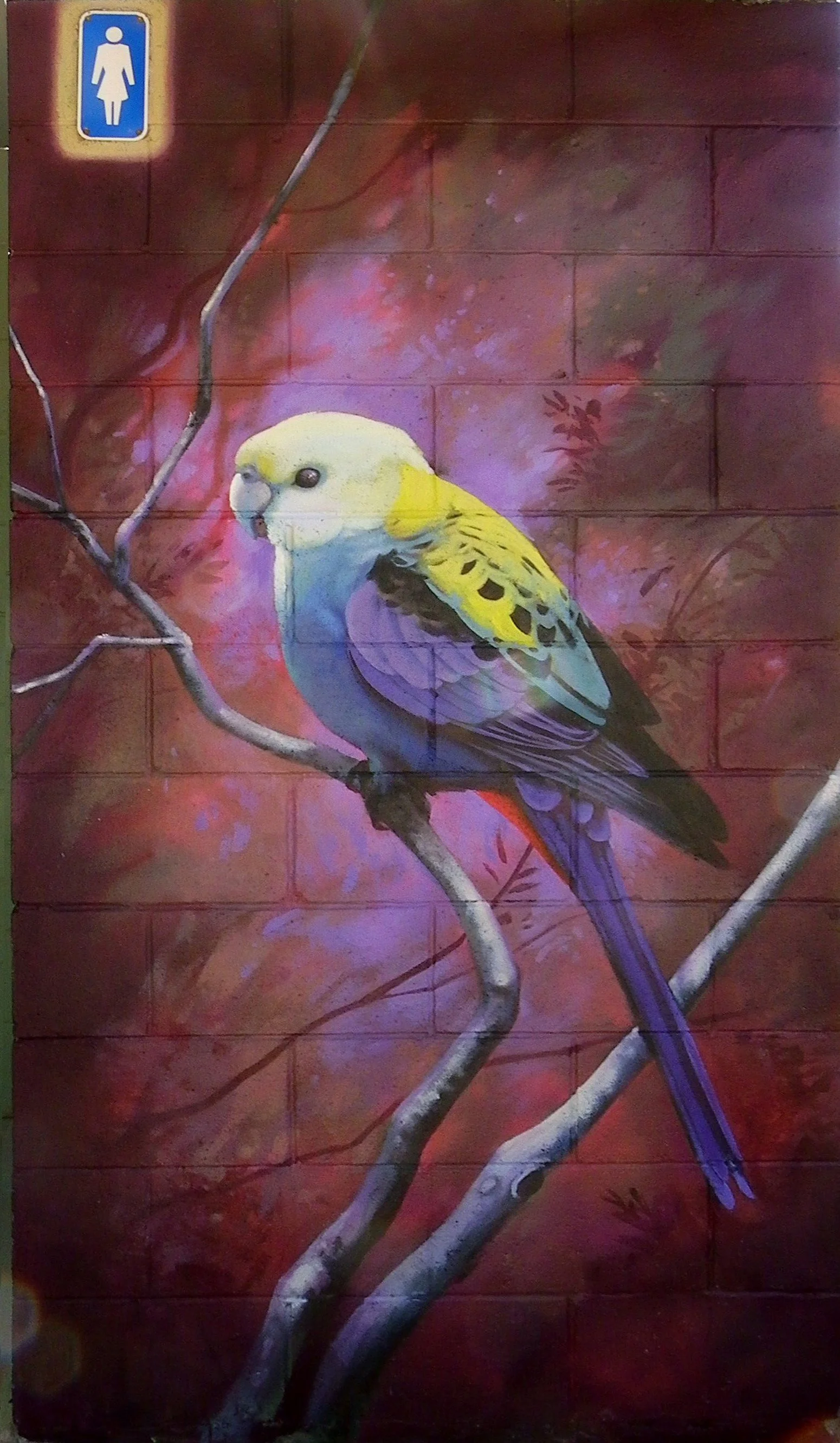 Pale faced Rosella painted as one of 6 murals on a Toilet block at Marsden. 