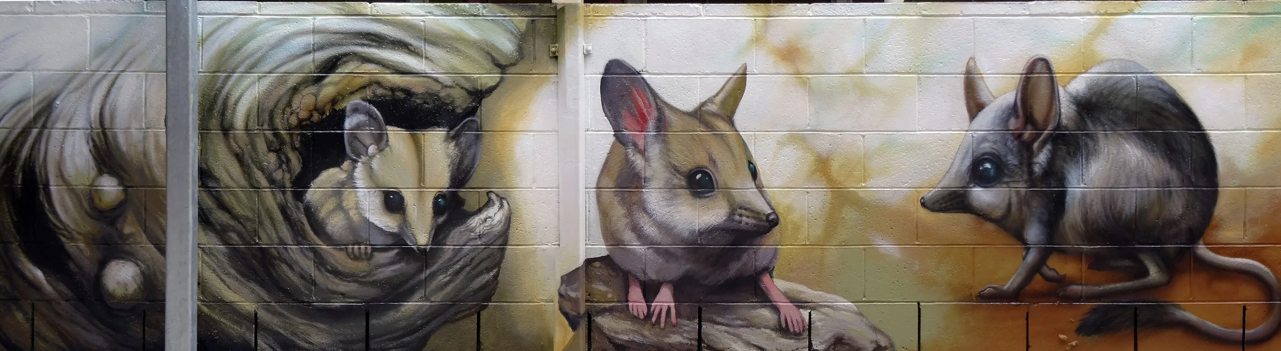 Native animals painted at Harris Fields Primary School, to the south of Brisbane.