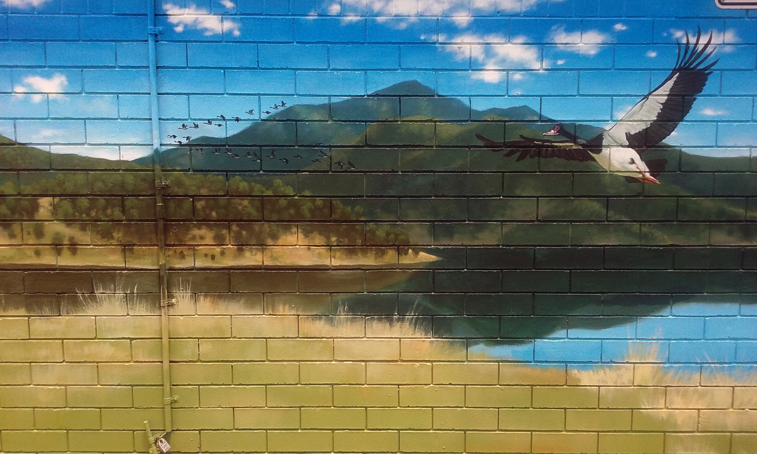 Close up of a mural painted in a park at Woodhill, south of Brisbane.