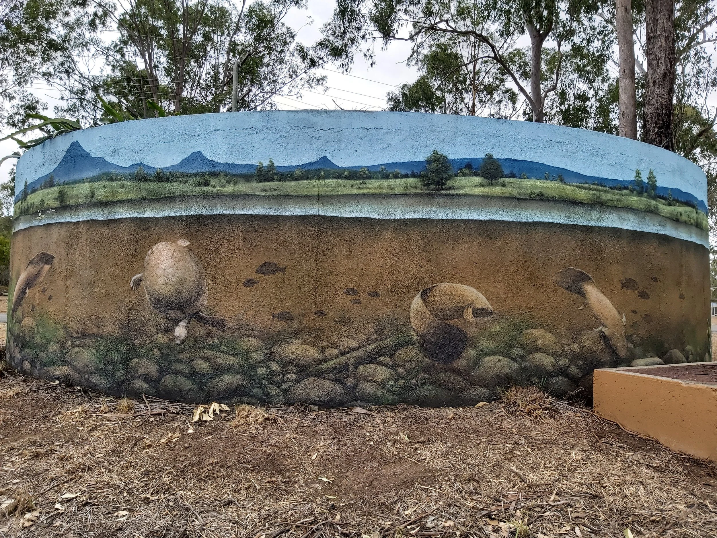 Water tank at Cedar Grove