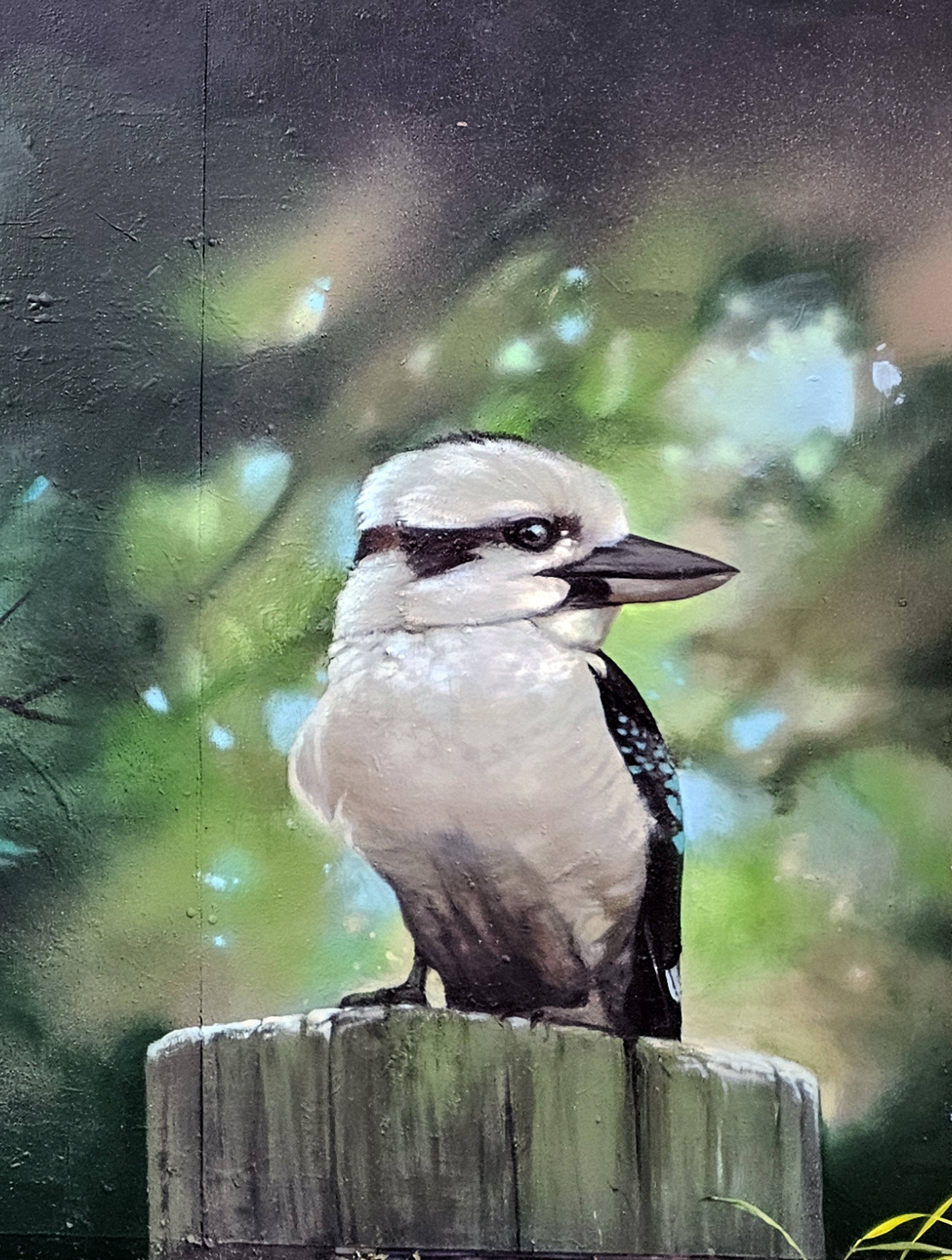 20250216_180956 copy.jpg