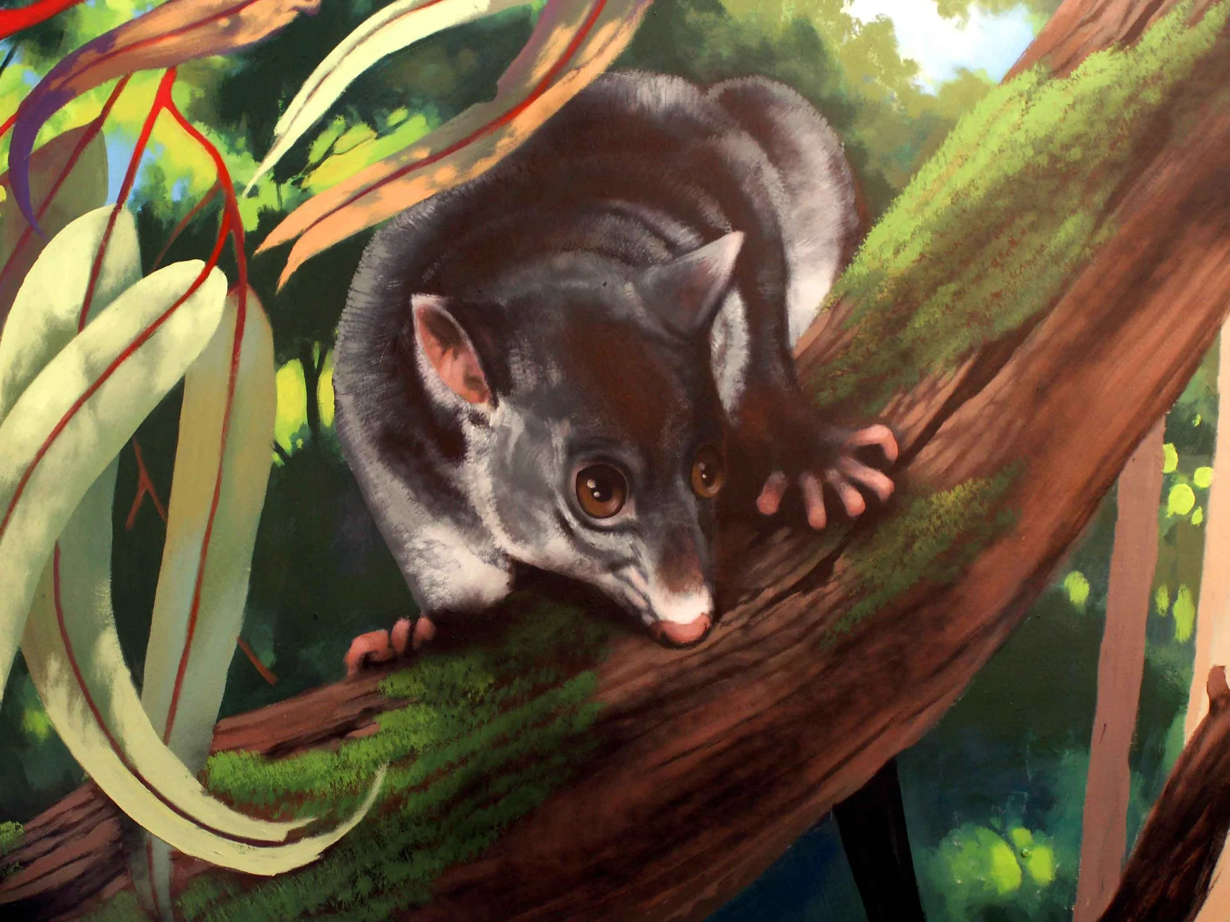Cartoon Possum painted at a childcare centre in Browns Plains