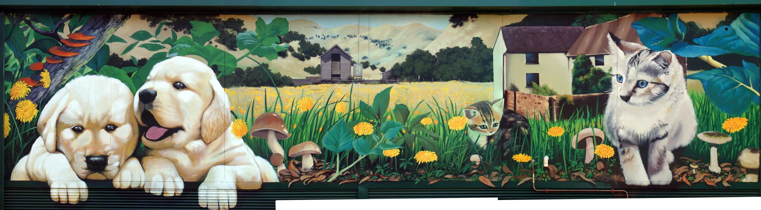 community vet building largefile.jpg