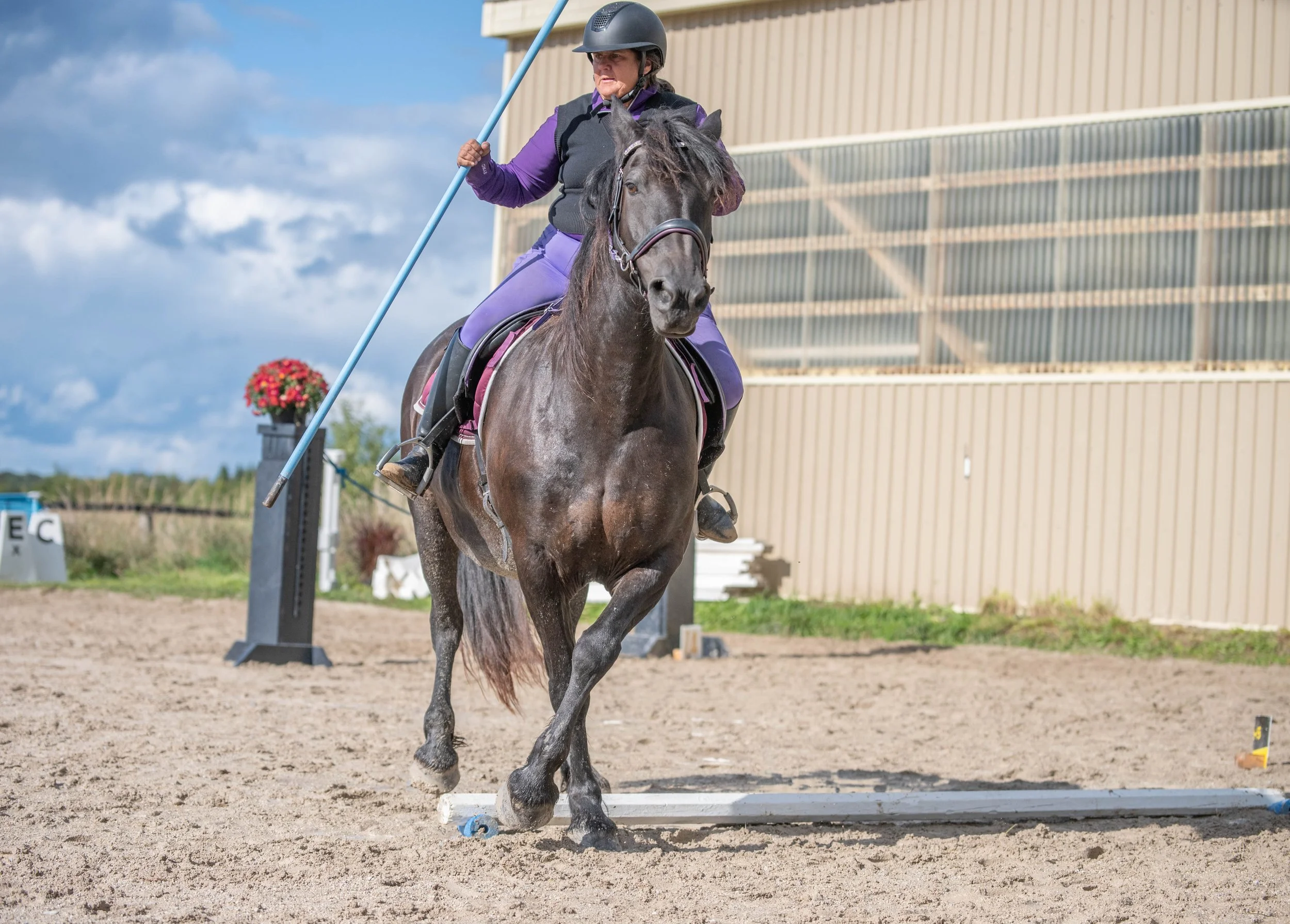 HeronCrest Dressage and Working Equitation Show