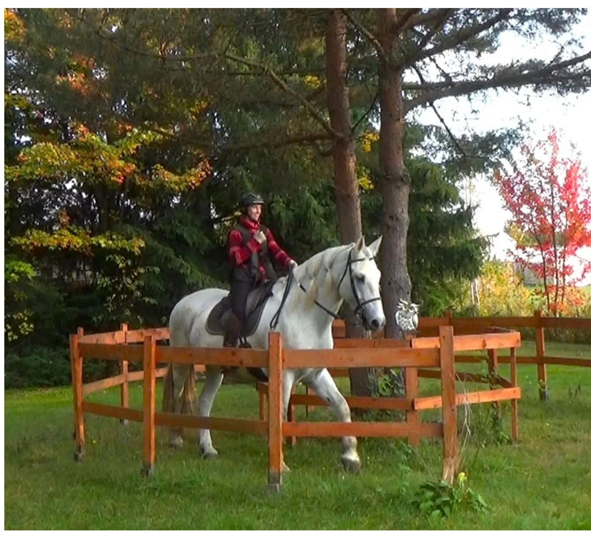 Working Equitation Clinic with Patricia Lamontagne